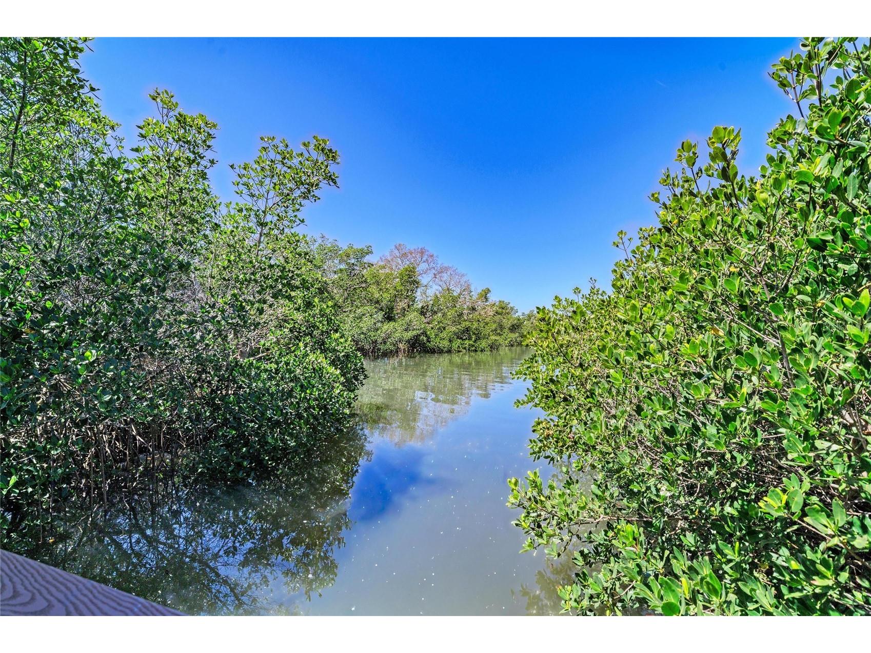 5611 Us Highway 19 Palmetto FL 34221 A4688695 image4