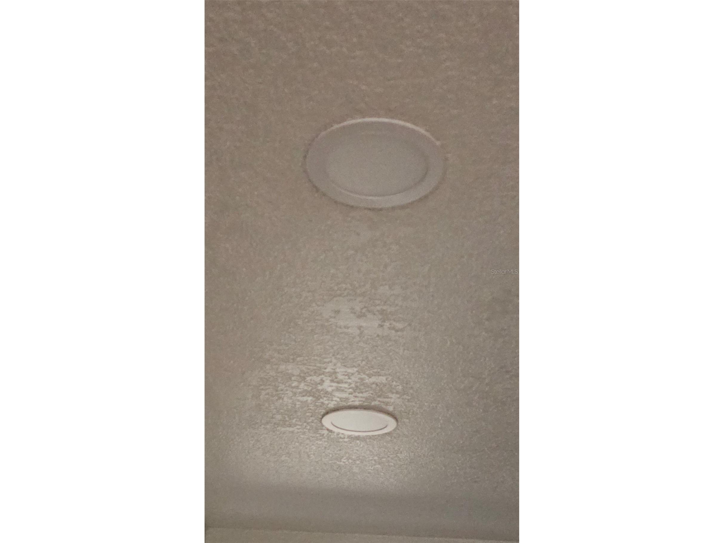 5612 Baker Road New Port Richey FL 34653 - Echo TB8472561 image18