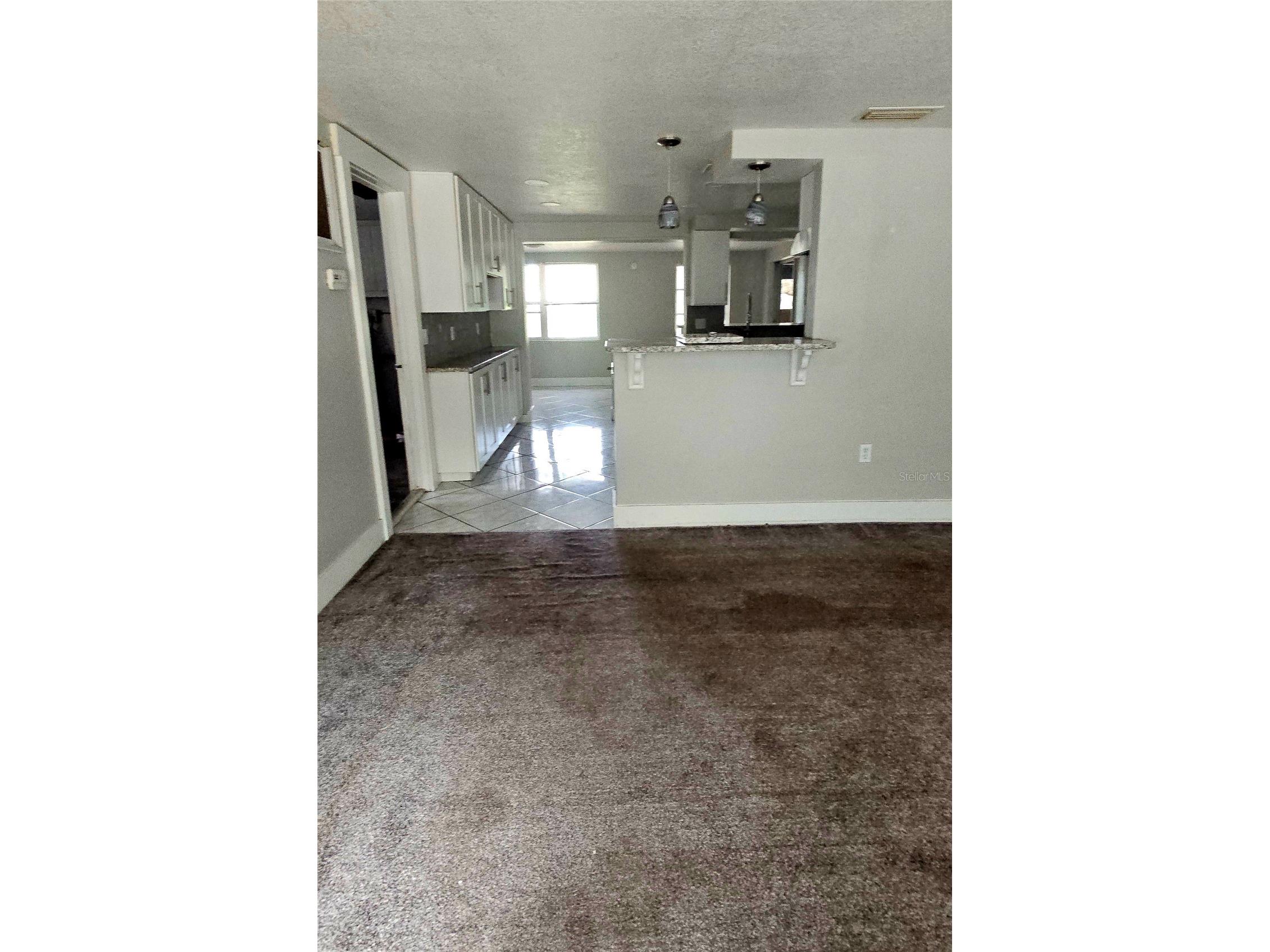 5612 Baker Road New Port Richey FL 34653 - Echo TB8472561 image21