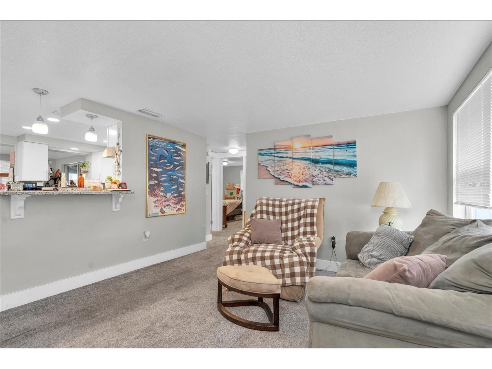 5612 Baker Road New Port Richey FL 34653 - Echo TB8472561 image25