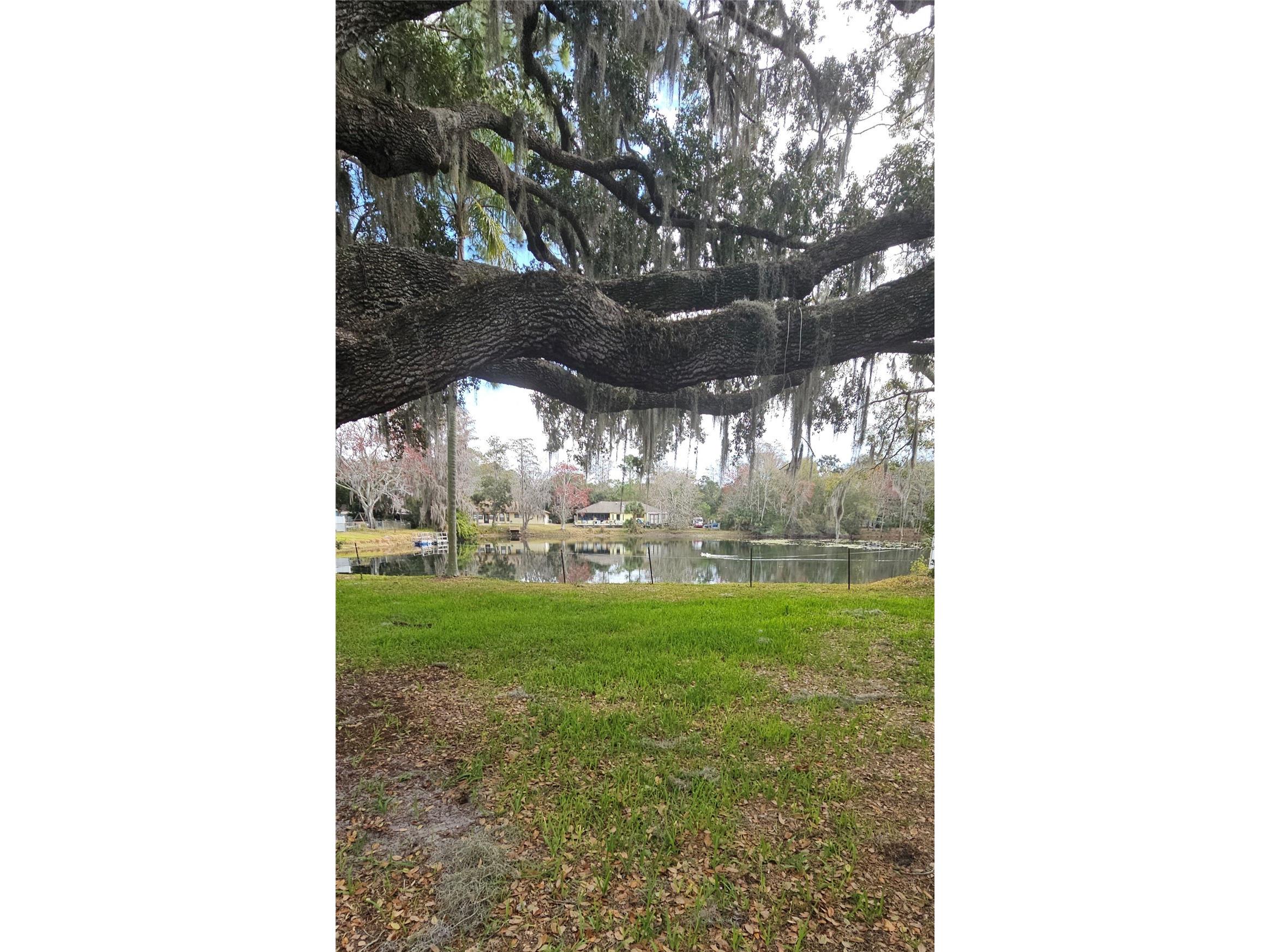 5612 Baker Road New Port Richey FL 34653 - Echo TB8472561 image71