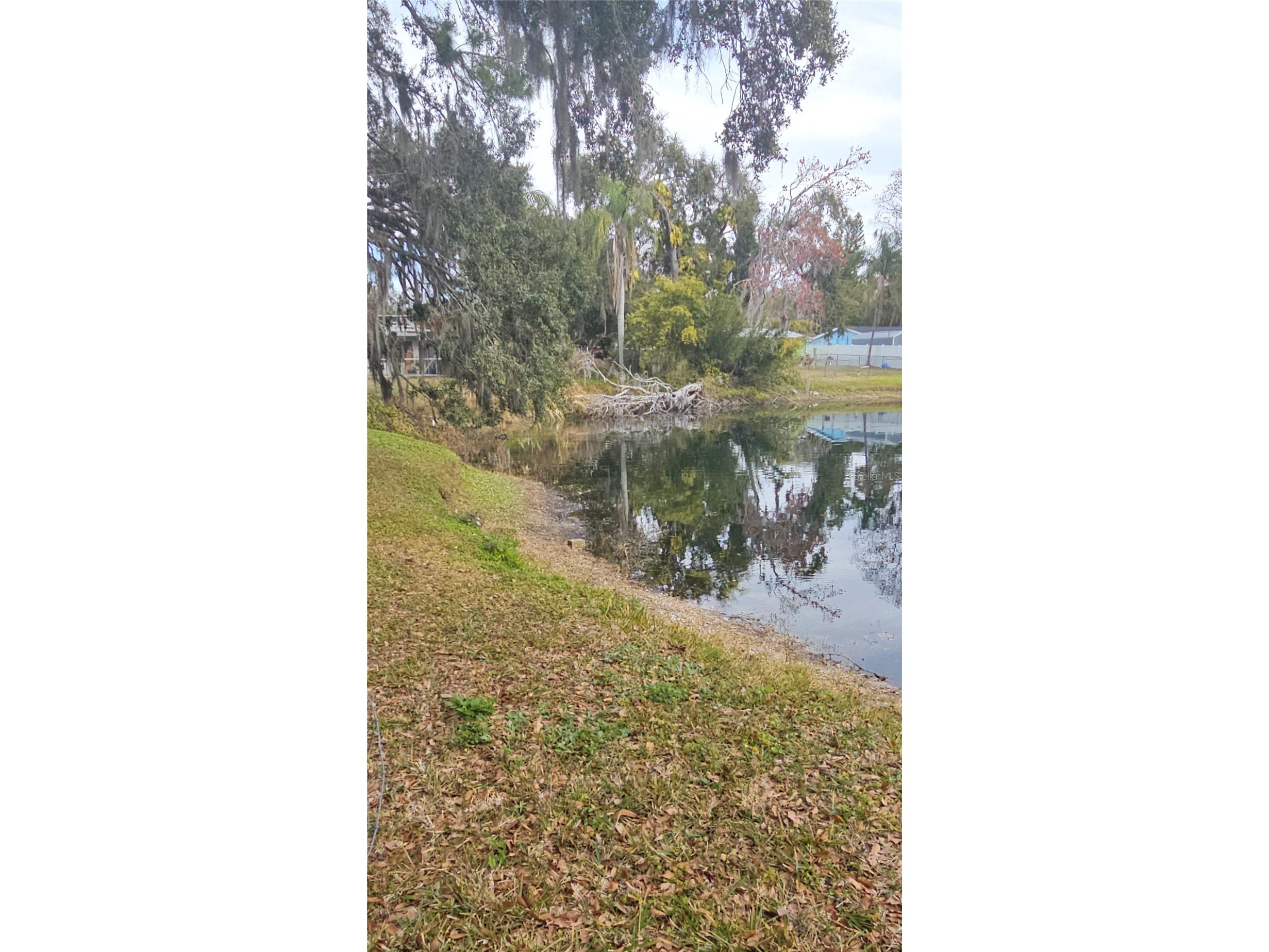 5612 Baker Road New Port Richey FL 34653 - Echo TB8472561 image72