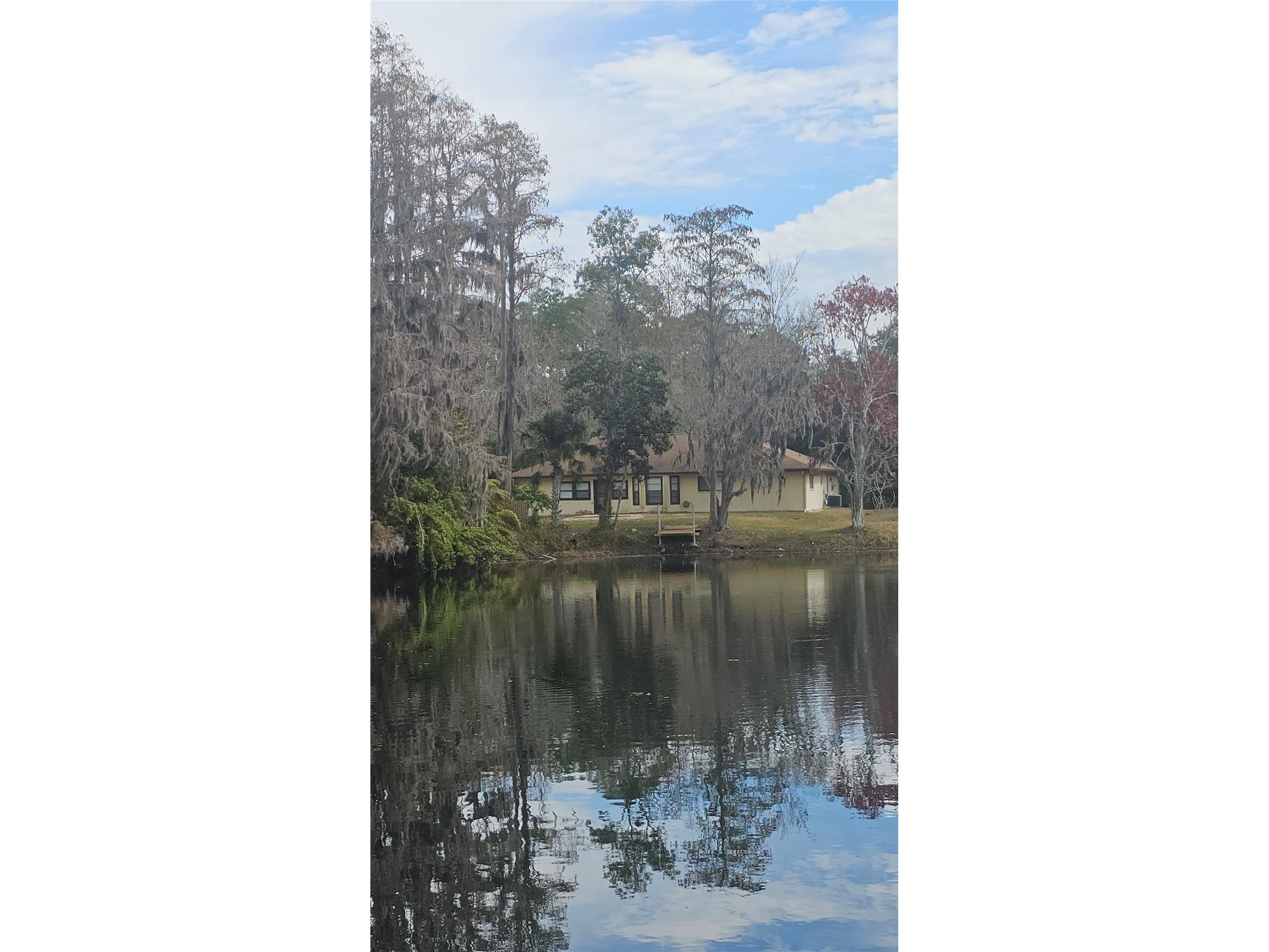 5612 Baker Road New Port Richey FL 34653 - Echo TB8472561 image74
