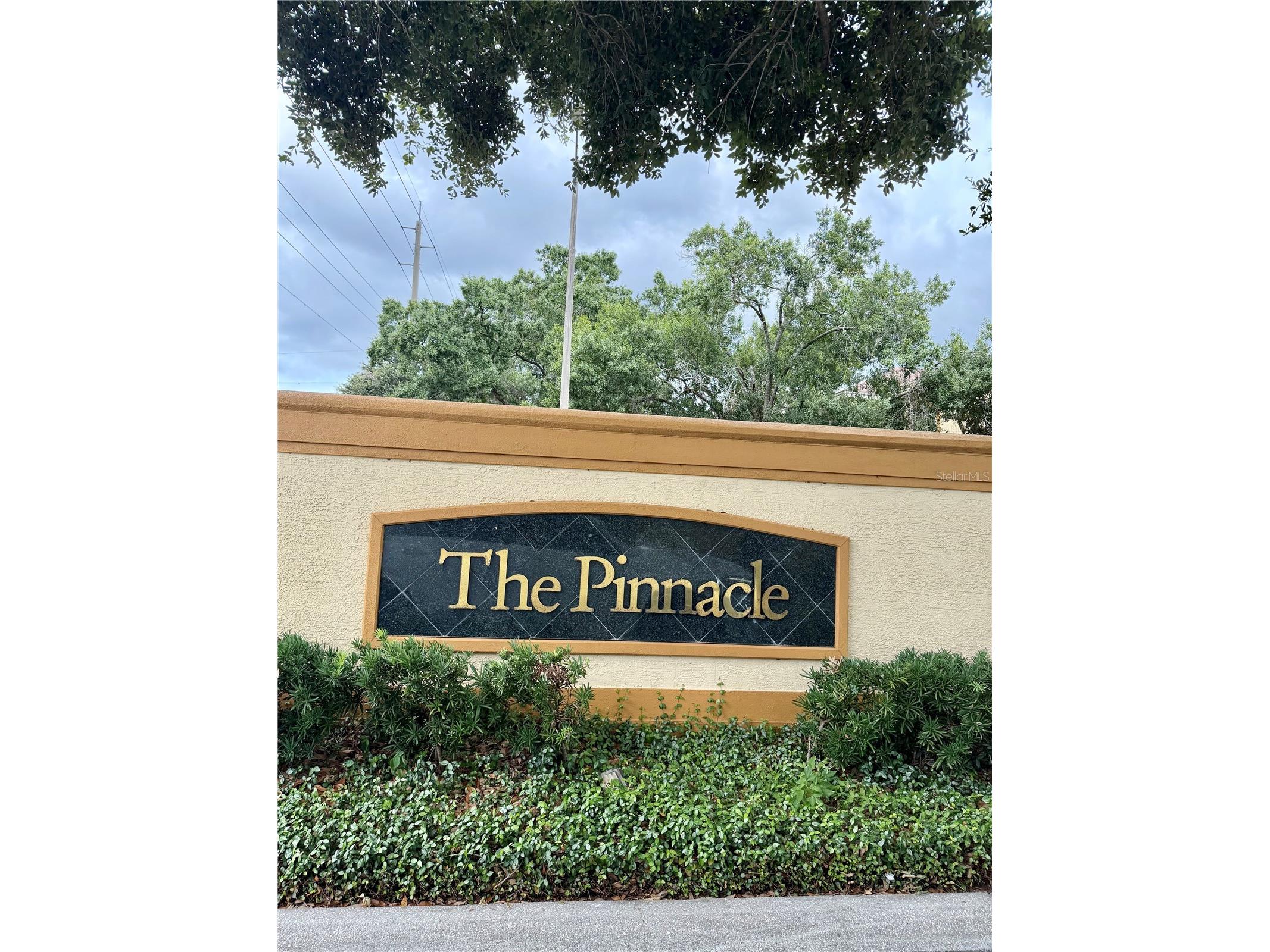 5612 Pinnacle Heights Circle #302 Tampa FL 33624 TB8526781 image3