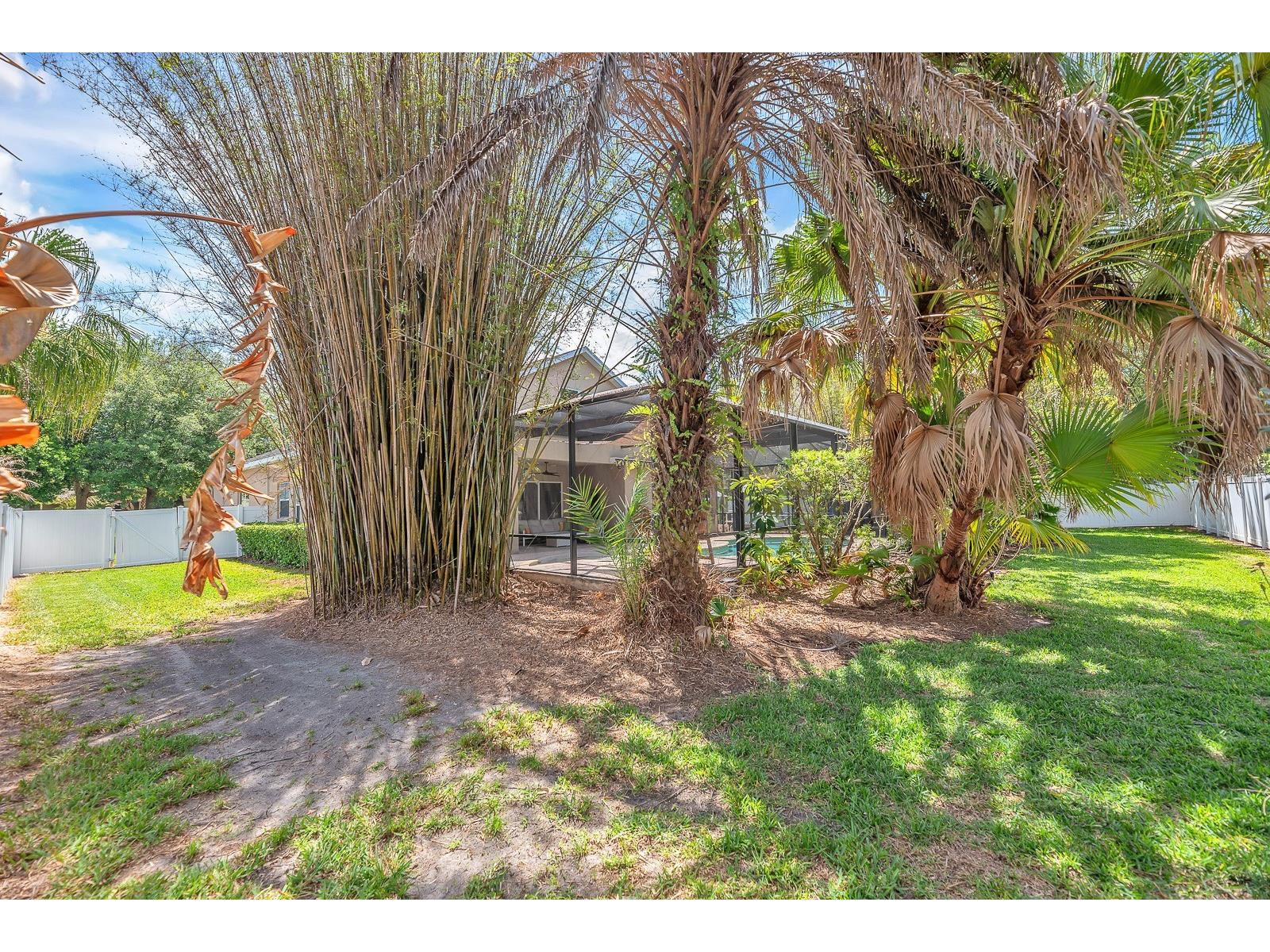 5613 Lark Meadow Place Lithia FL 33547 TB8494202 image45
