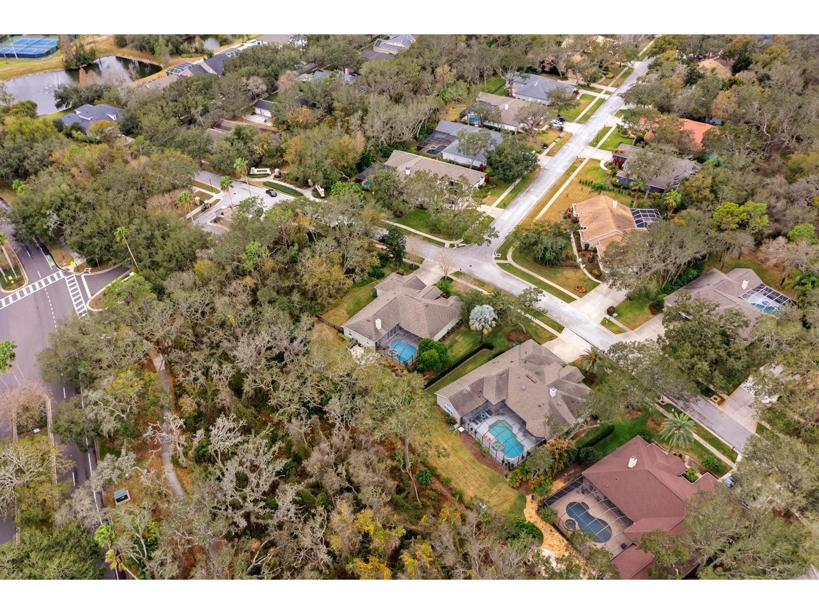 5614 Eagleglen Place Lithia FL 33547 TB8469199 image33