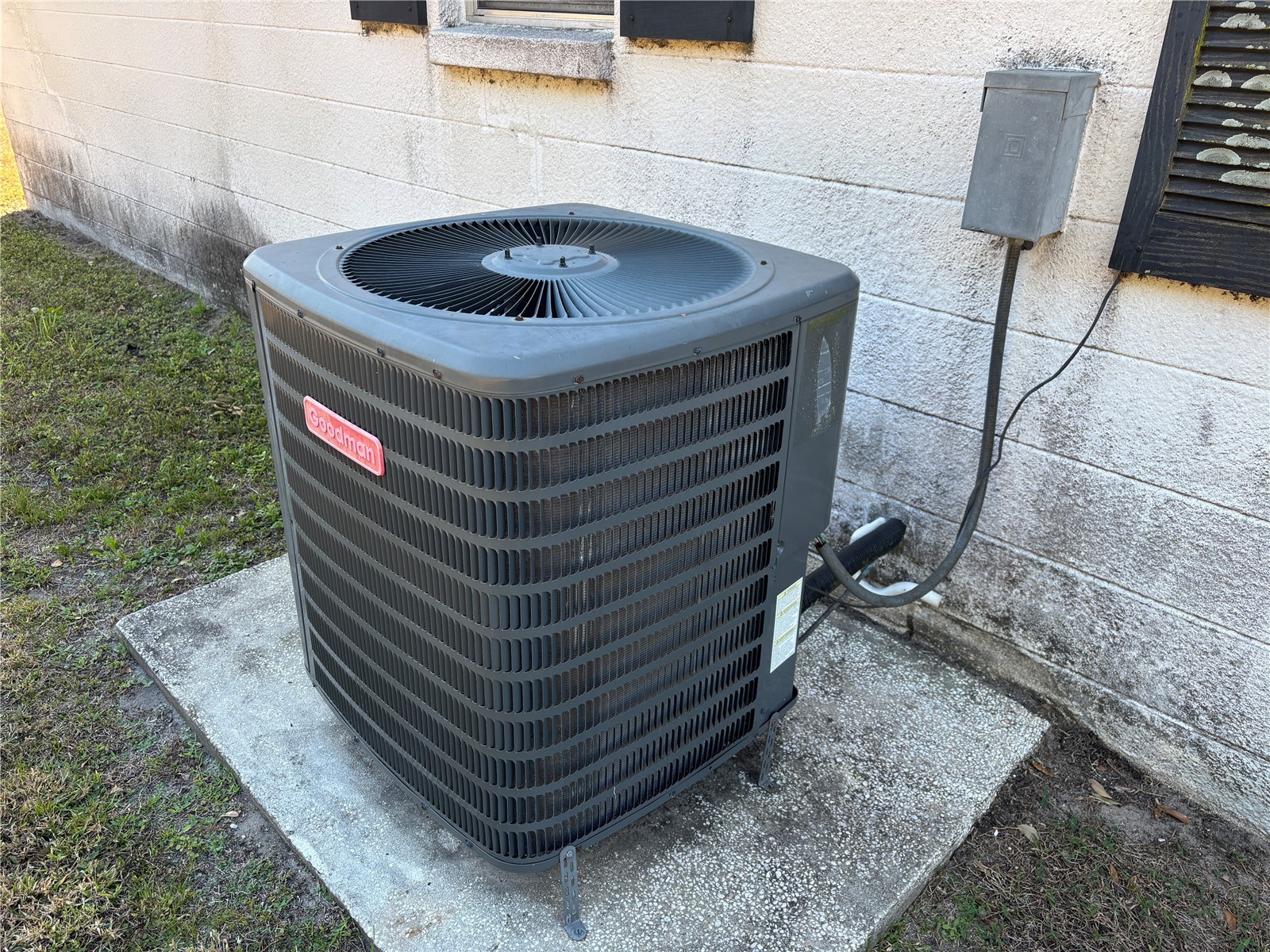 5614 Glen Harwell Road Plant City FL 33566 TB8470987 image6