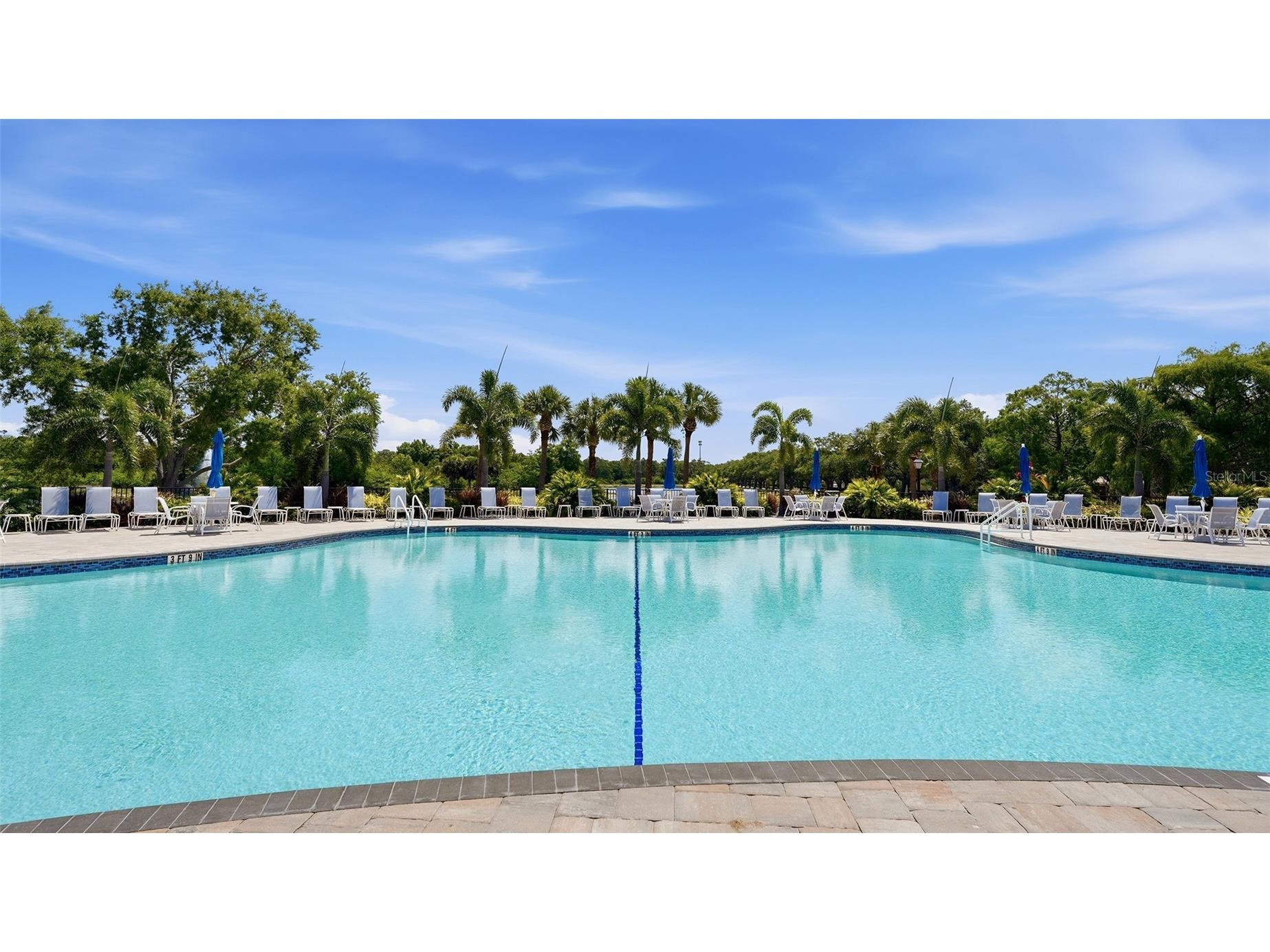 5614 Octonia Place Sarasota FL 34238 A4692412 image25