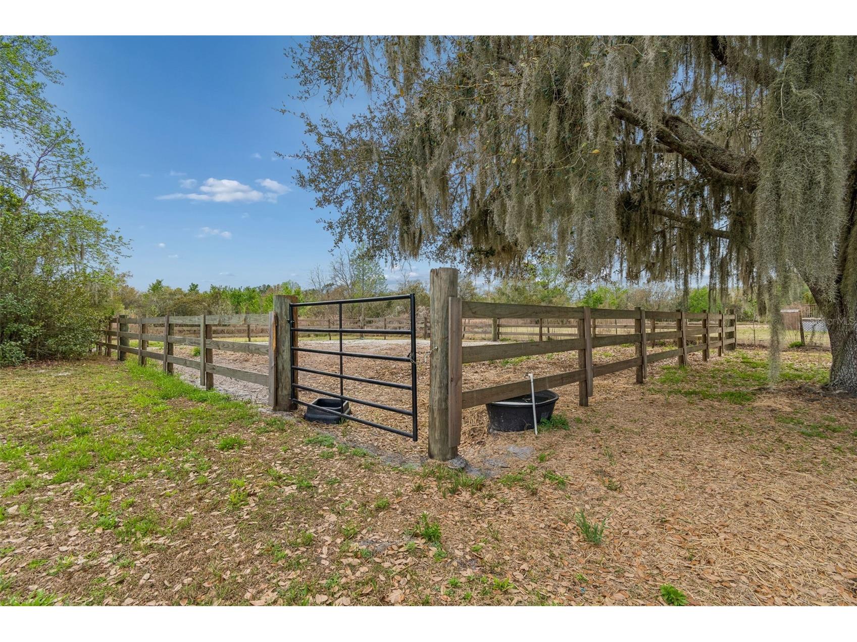 5614 Pless Road Plant City FL 33565 TB8484099 image64