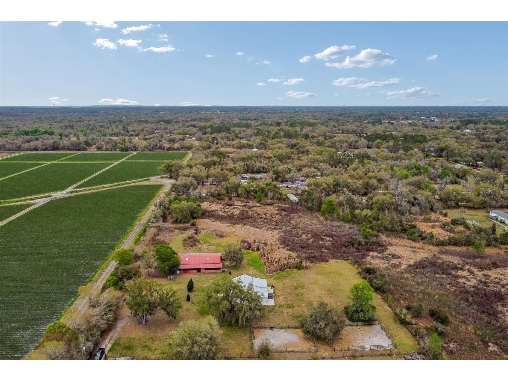 5614 Pless Road Plant City FL 33565 TB8484099 image95