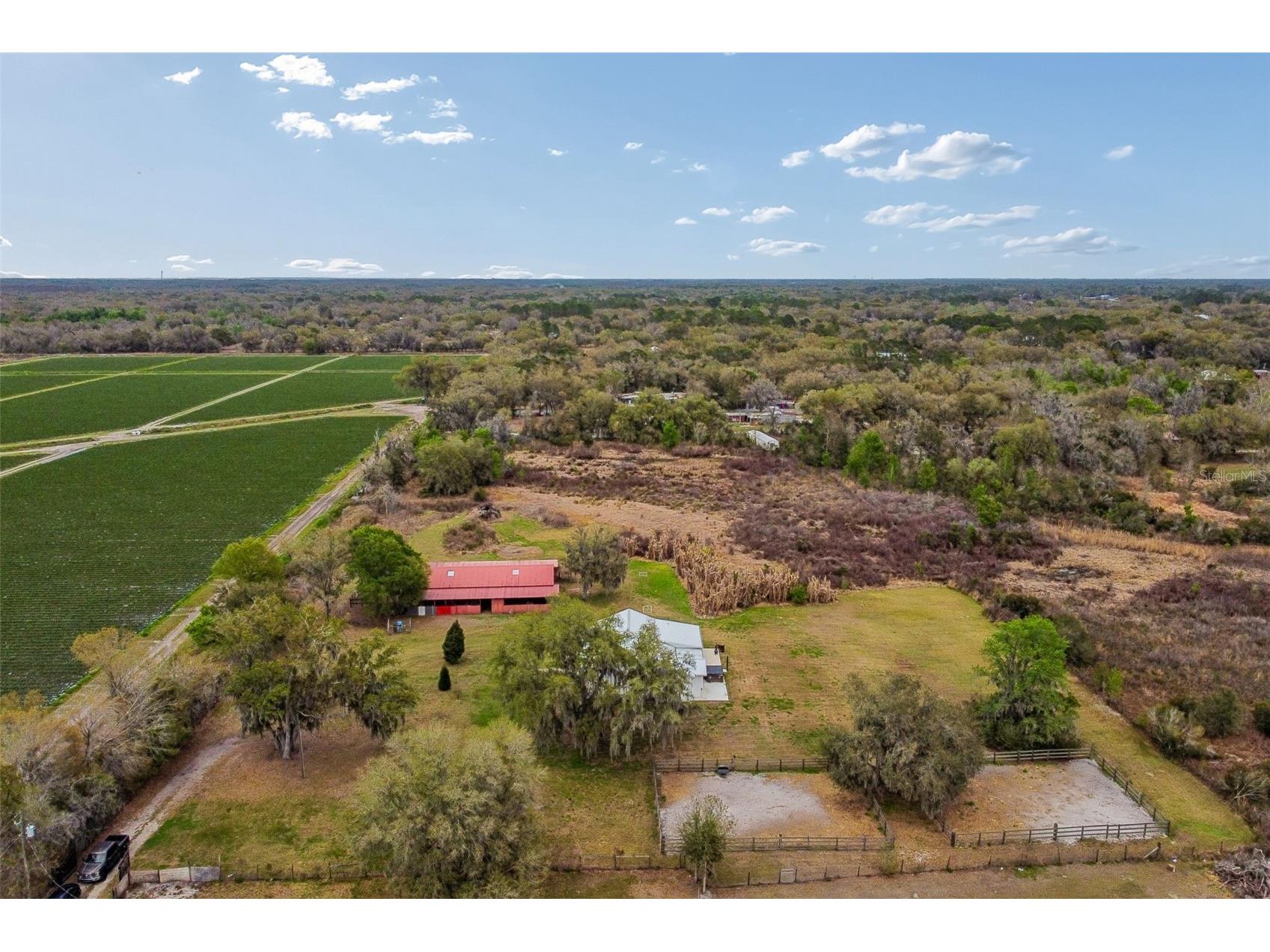 5614 Pless Road Plant City FL 33565 TB8484099 image96
