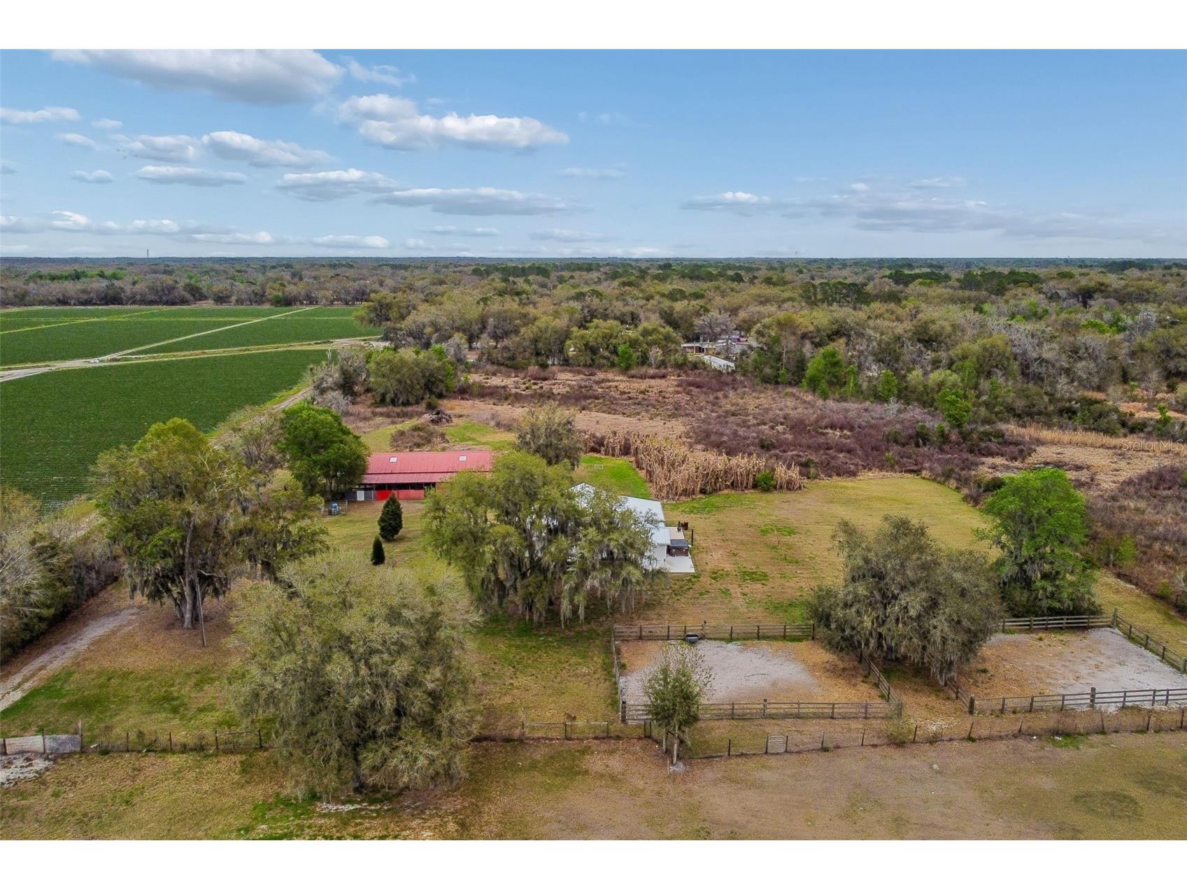 5614 Pless Road Plant City FL 33565 TB8484099 image97
