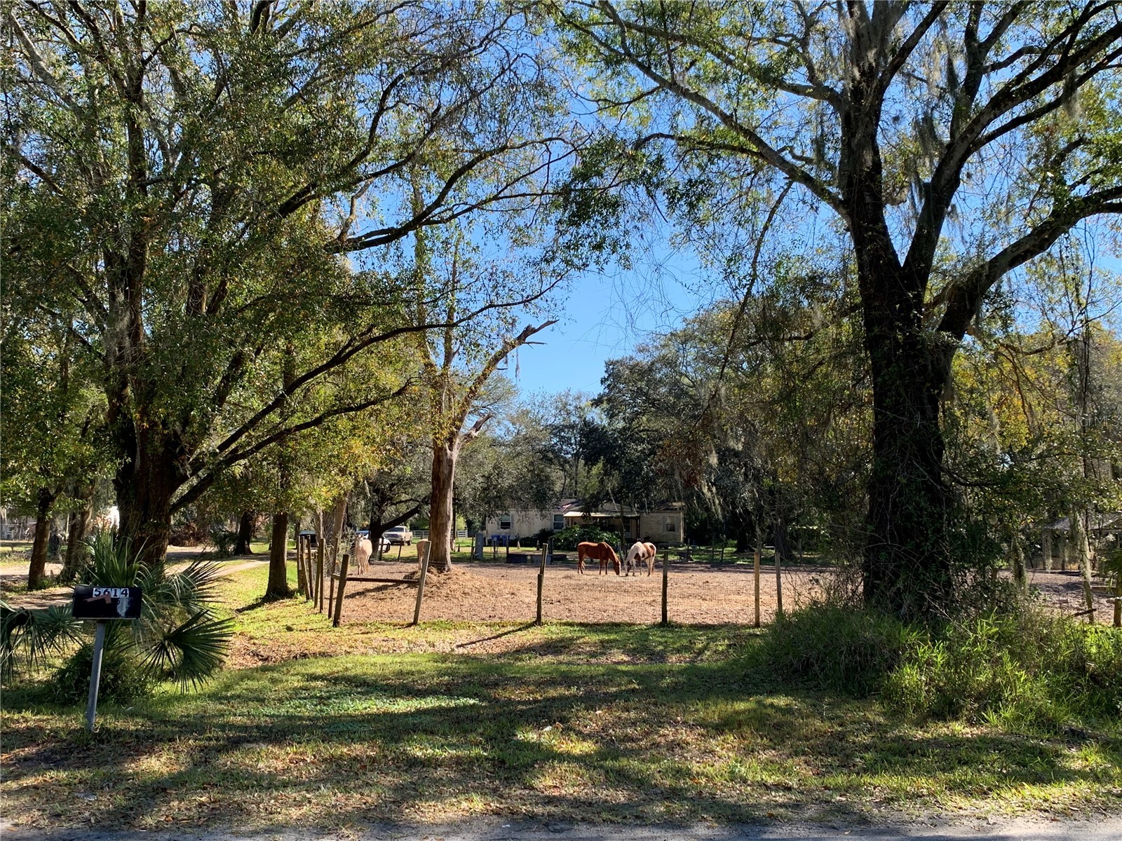 5614 Watson Riverview FL 33578 TB8493172 image1