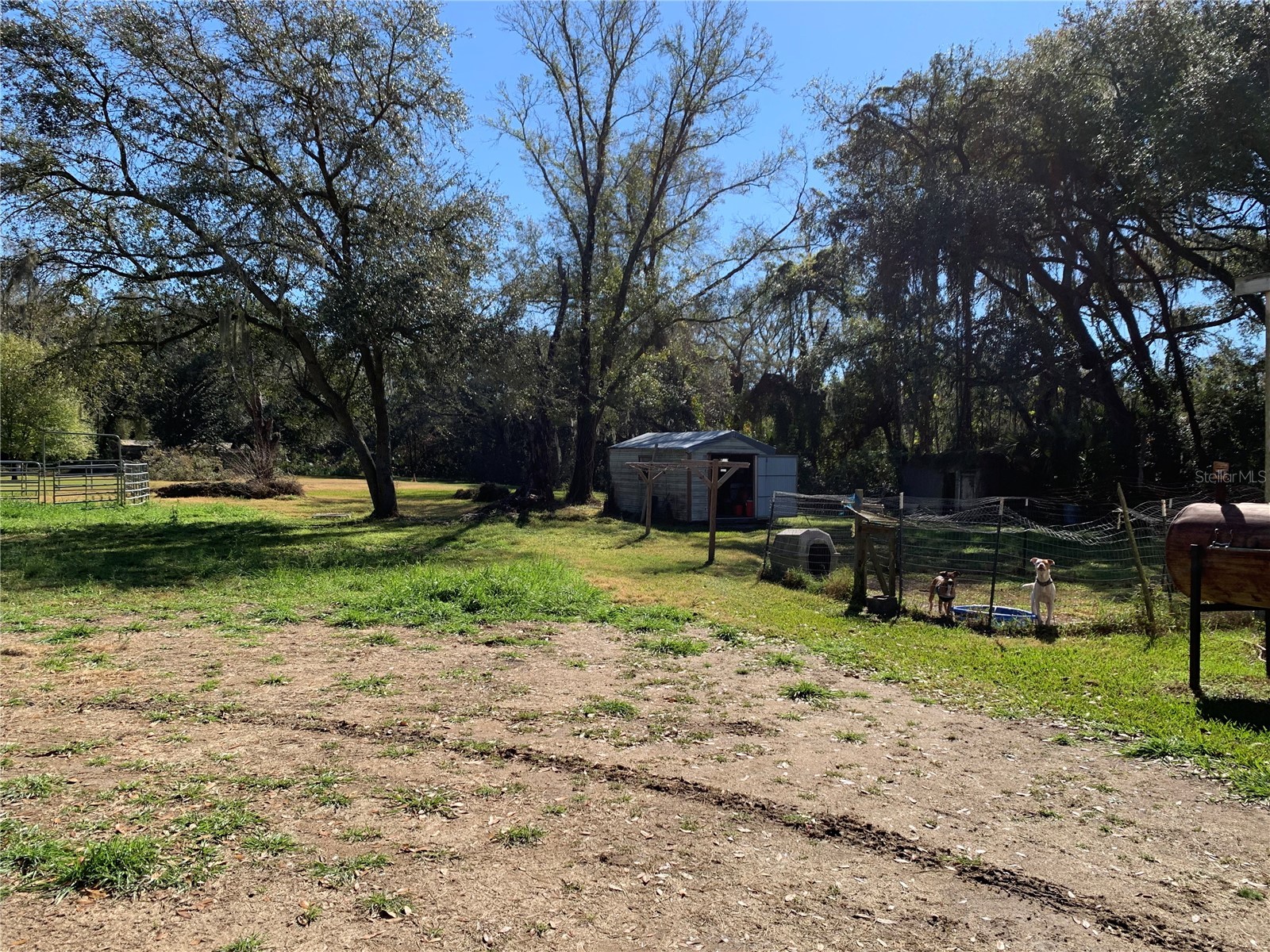 5614 Watson Riverview FL 33578 TB8493172 image2