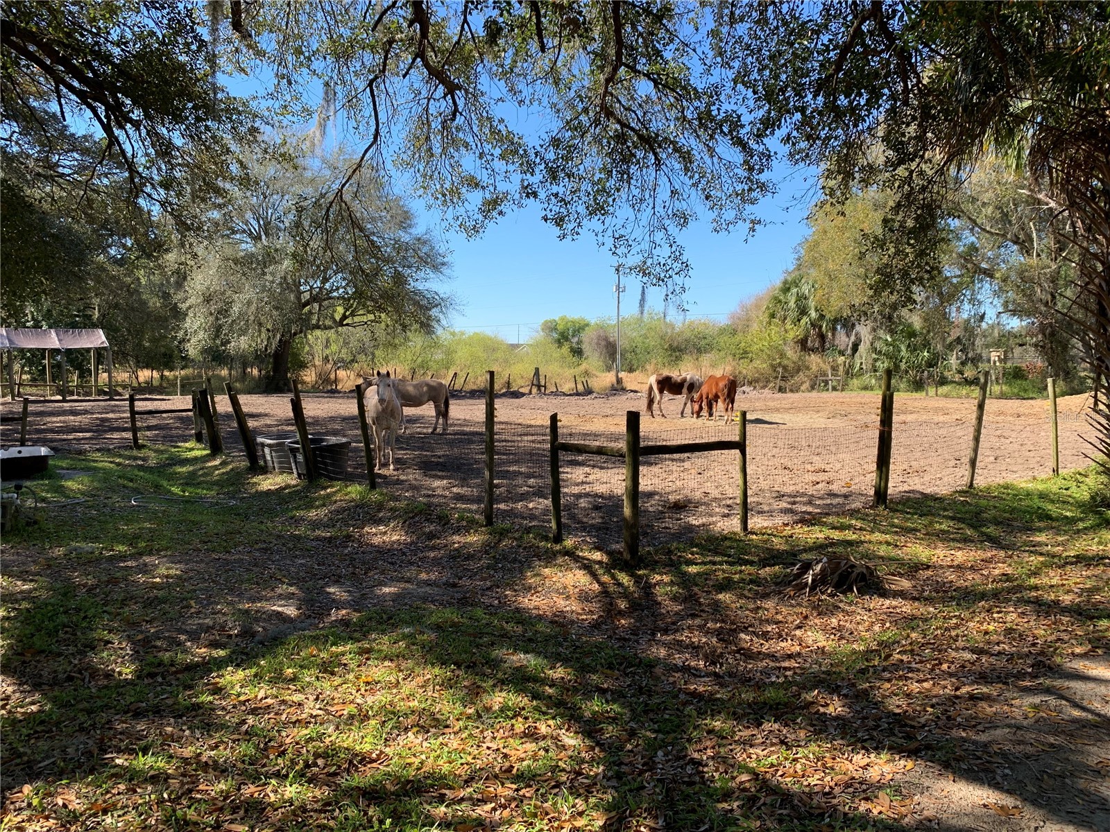 5614 Watson Riverview FL 33578 TB8493172 image5