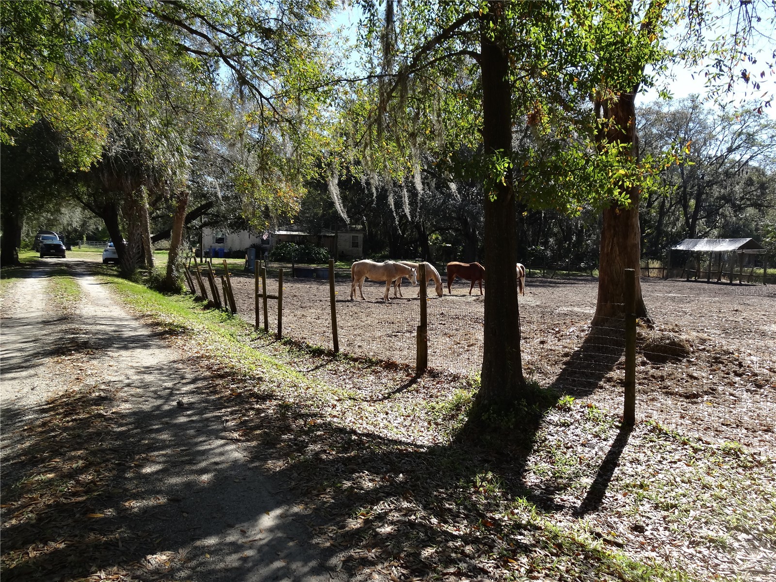5614 Watson Riverview FL 33578 TB8493172 image7