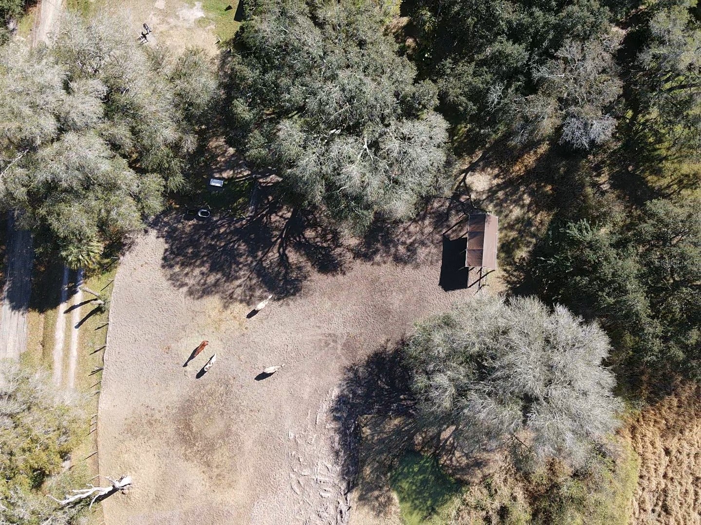 5614 Watson Riverview FL 33578 TB8493172 image8