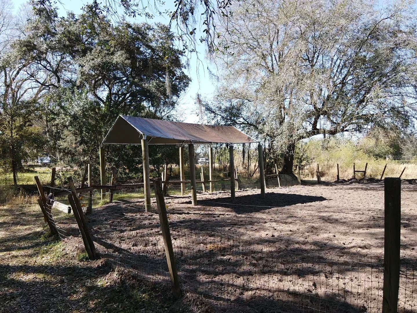 5614 Watson Riverview FL 33578 TB8493172 image9