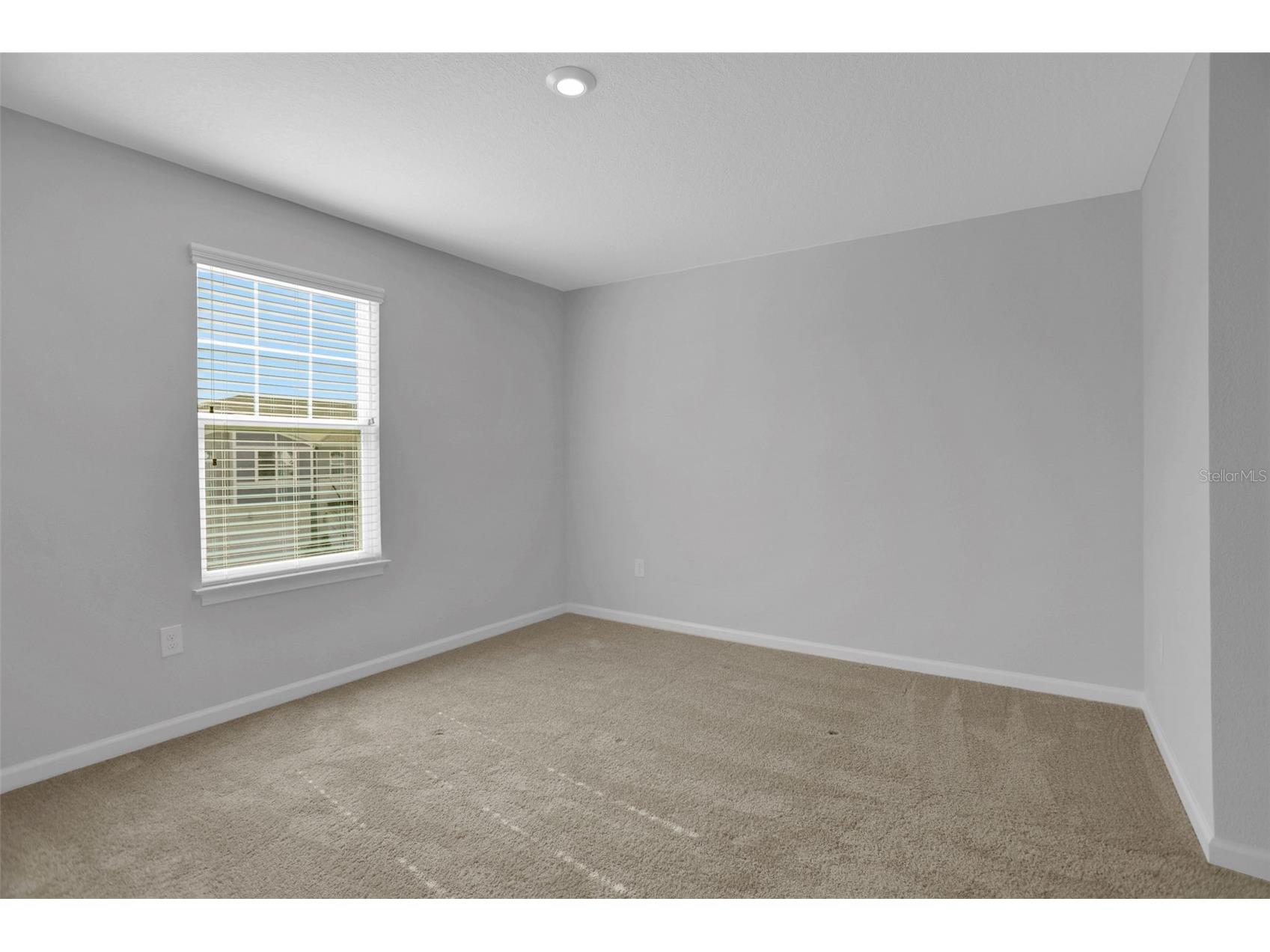 5615 Brooklet Woods Drive Wesley Chapel FL 33545 TB8467272 image17