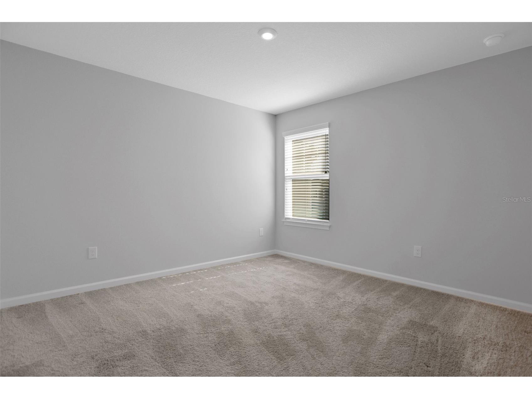 5615 Brooklet Woods Drive Wesley Chapel FL 33545 TB8467272 image19