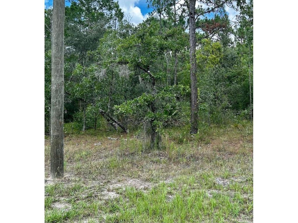 5615 W Oak Park Boulevard Homosassa FL 34446 OM688268 image1