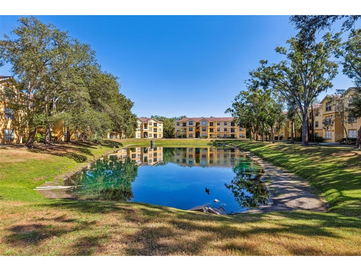 5616 Pinnacle Heights Circle #307 Tampa FL 33624 TB8445039 image35