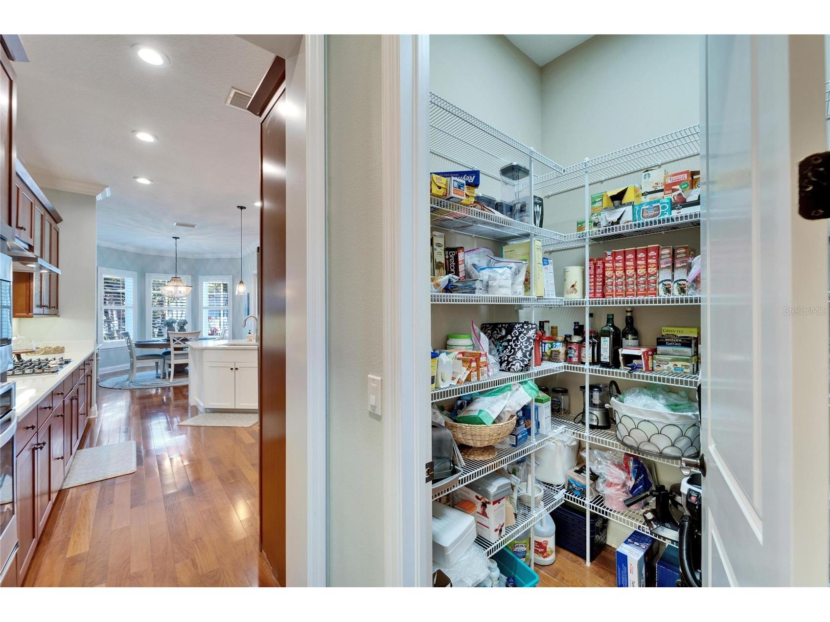 5616 Seagrass Place Apollo Beach FL 33572 - SEAGRASS CANAL TB8356674 image28