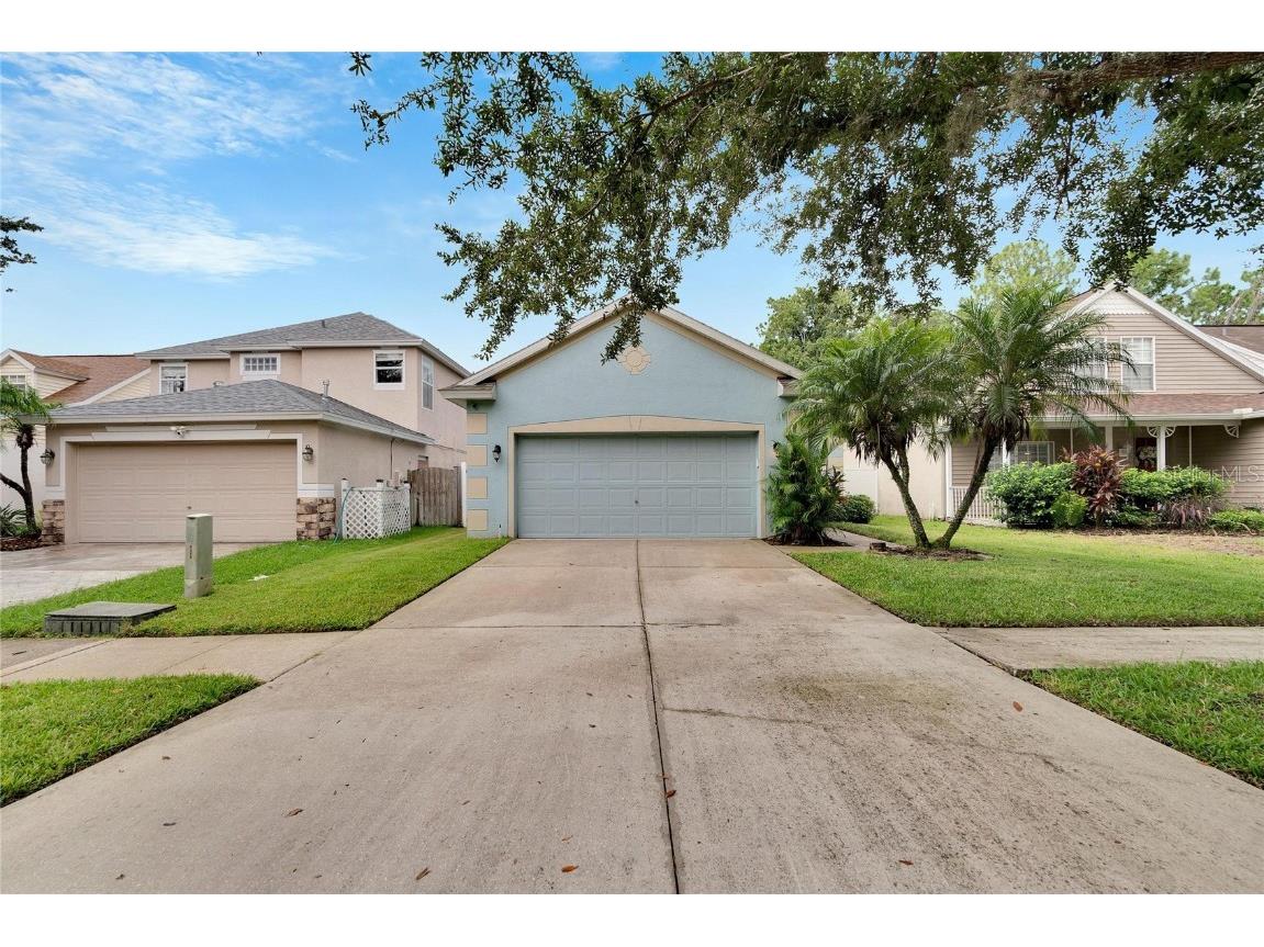 5616 Tanagergrove Way Lithia FL 33547 T3541511 image1