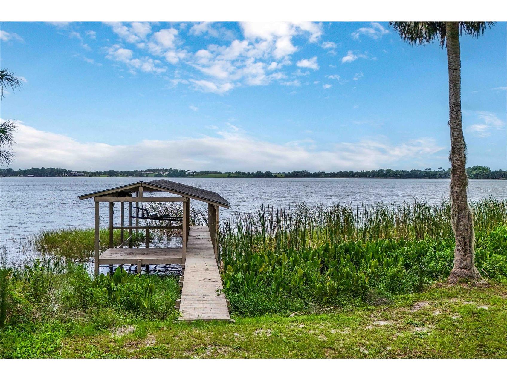 5616 Trimble Park Road Mount Dora FL 32757 - CARLTON O6416134 image34