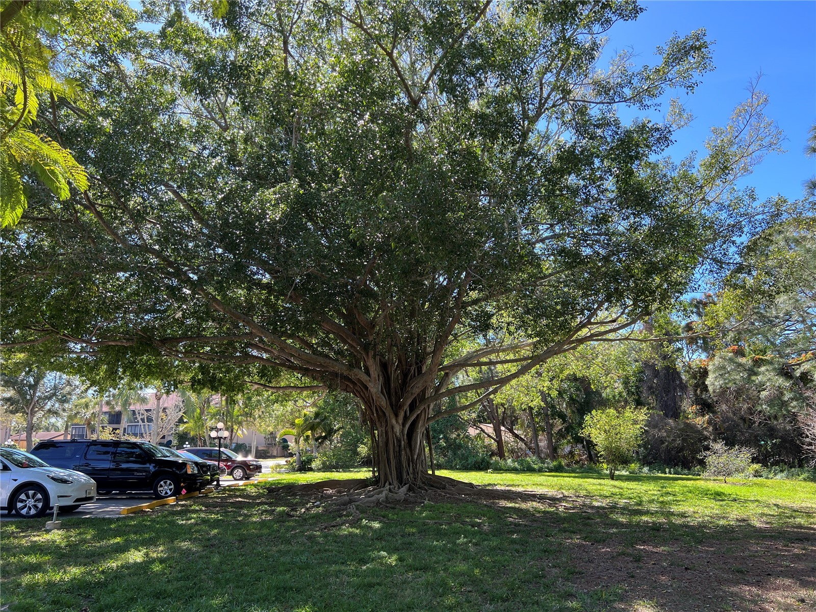 5617 Ashton Lake Drive #1 Sarasota FL 34231 A4650266 image42