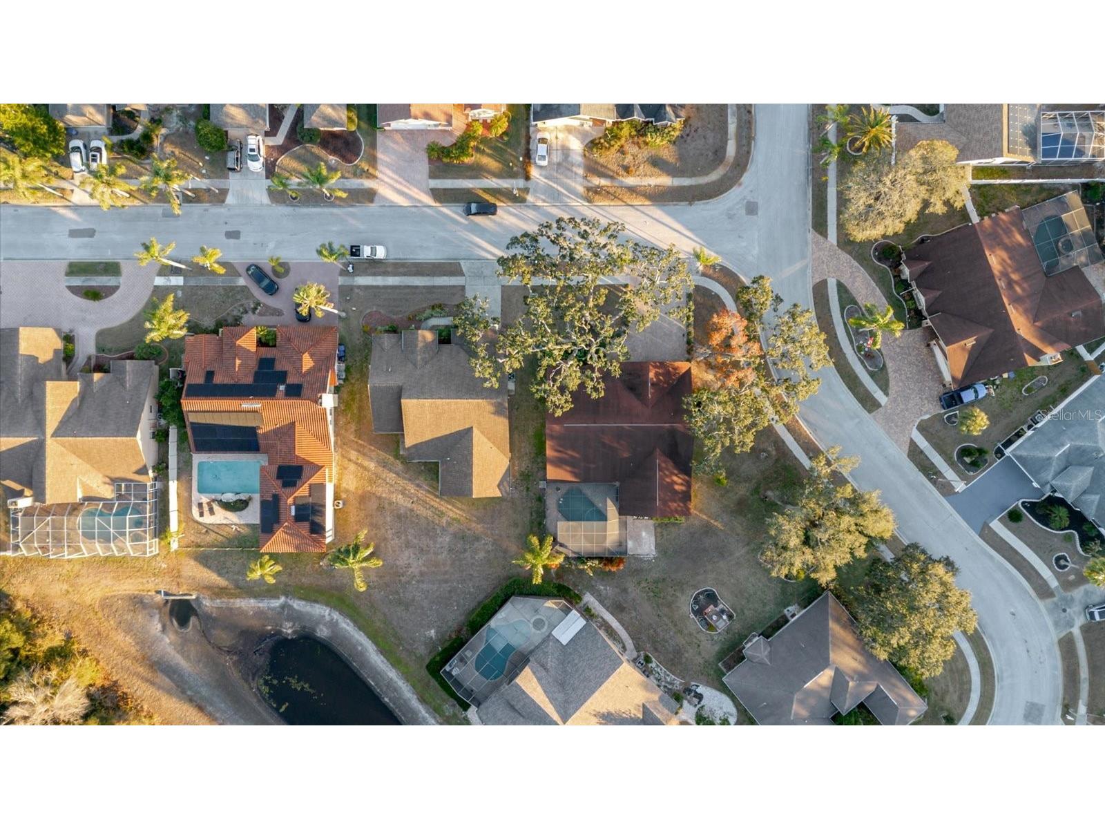 5617 Fieldspring Avenue New Port Richey FL 34655 TB8474518 image69