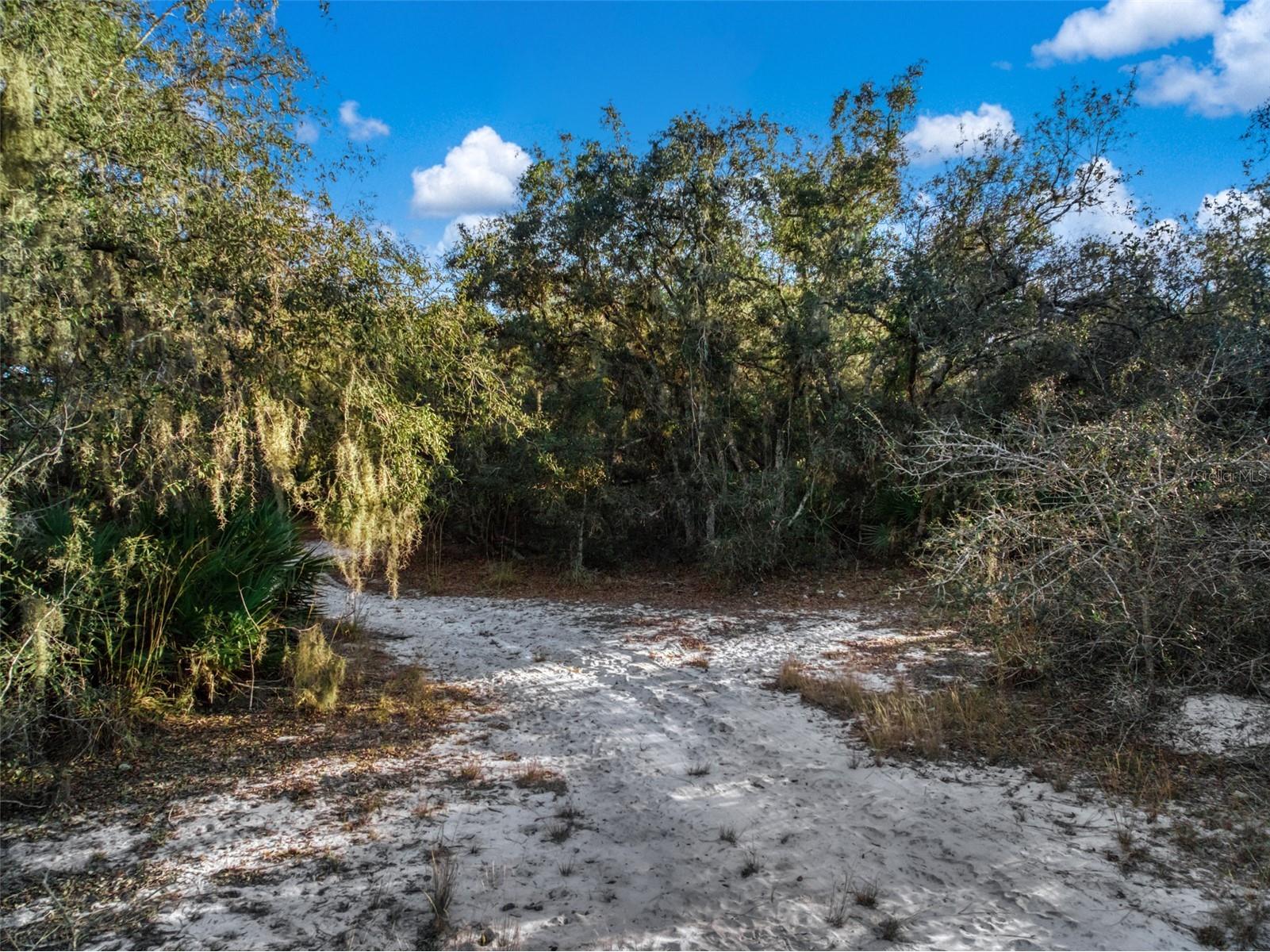 5617 Longbow Drive Sebring FL 33876 O6377161 image10