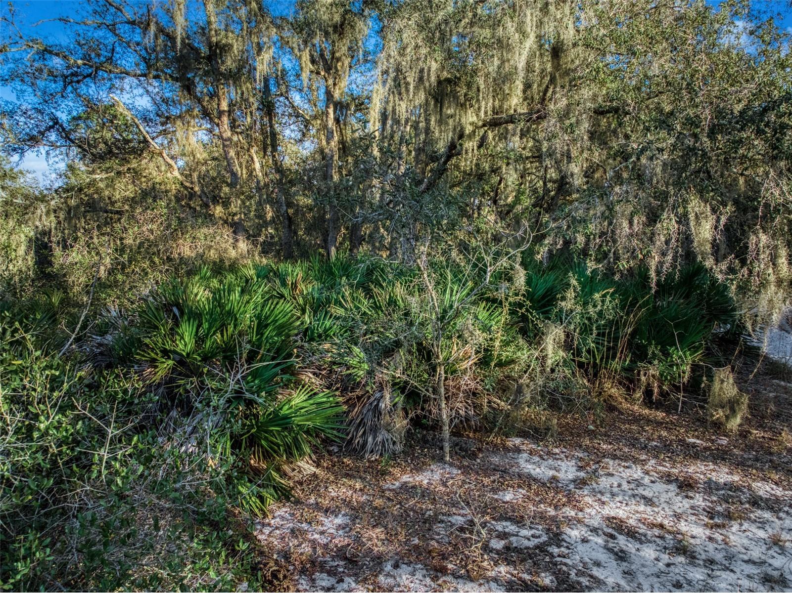 5617 Longbow Drive Sebring FL 33876 O6377161 image9