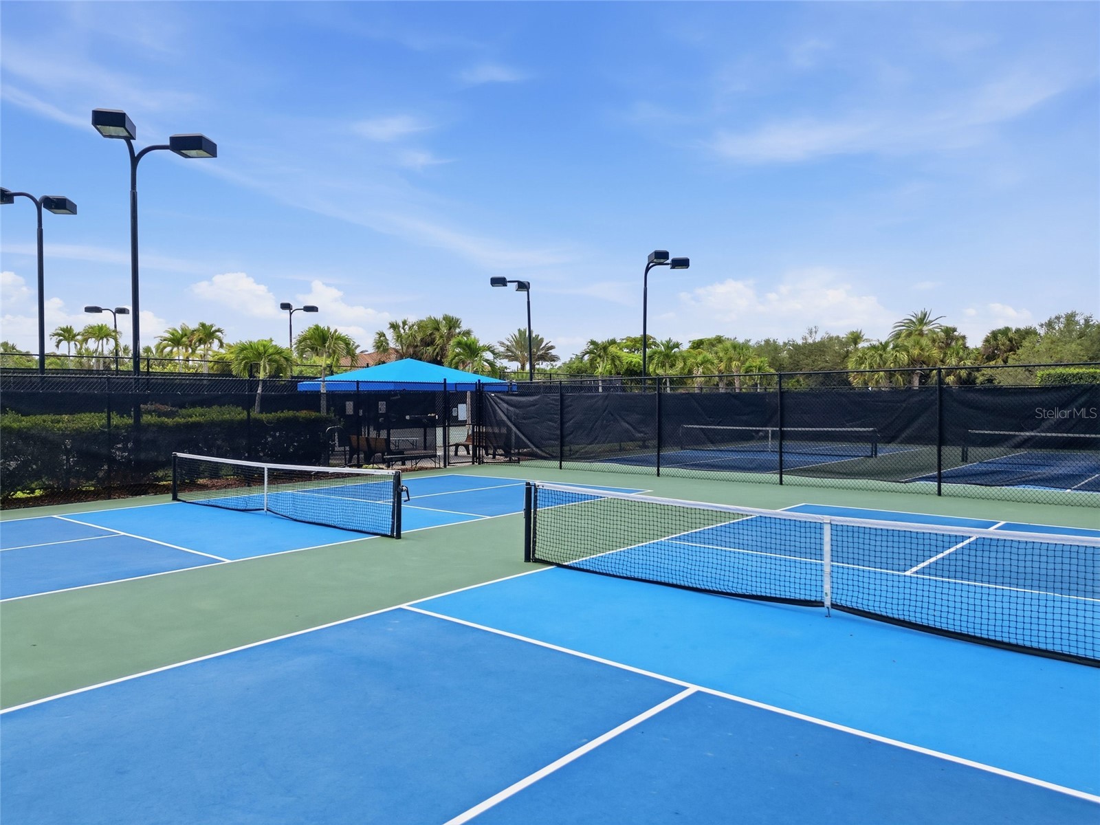 5617 Scarlotti Street Nokomis FL 34275 N6144527 image47