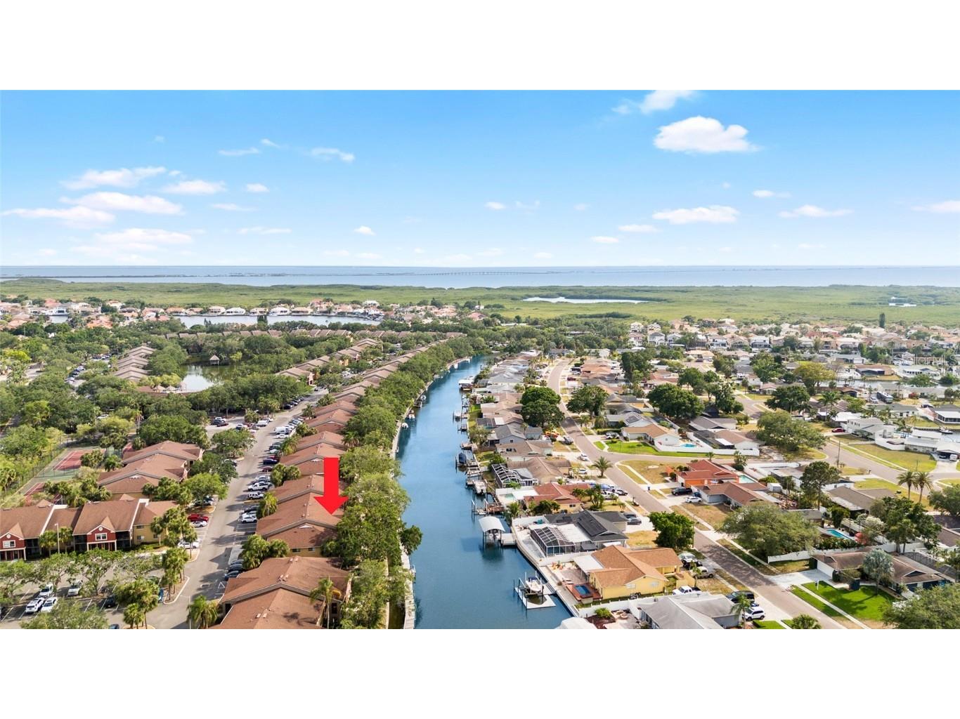 5618 Baywater Drive #5618 Tampa FL 33615 TB8351891 image1