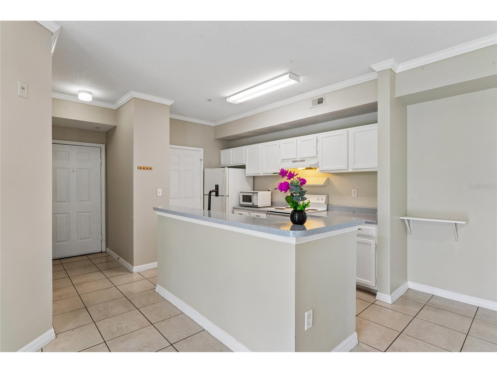5618 Pinnacle Heights Circle #309 Tampa FL 33624 TB8512645 image10