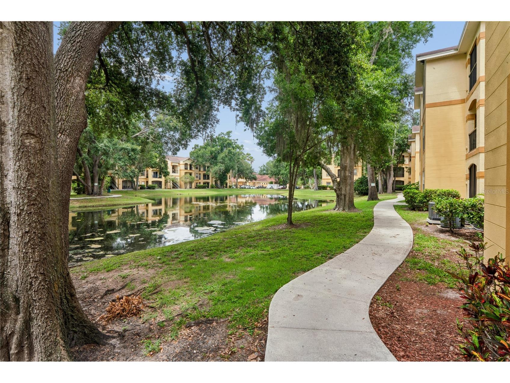 5618 Pinnacle Heights Circle #309 Tampa FL 33624 TB8512645 image35