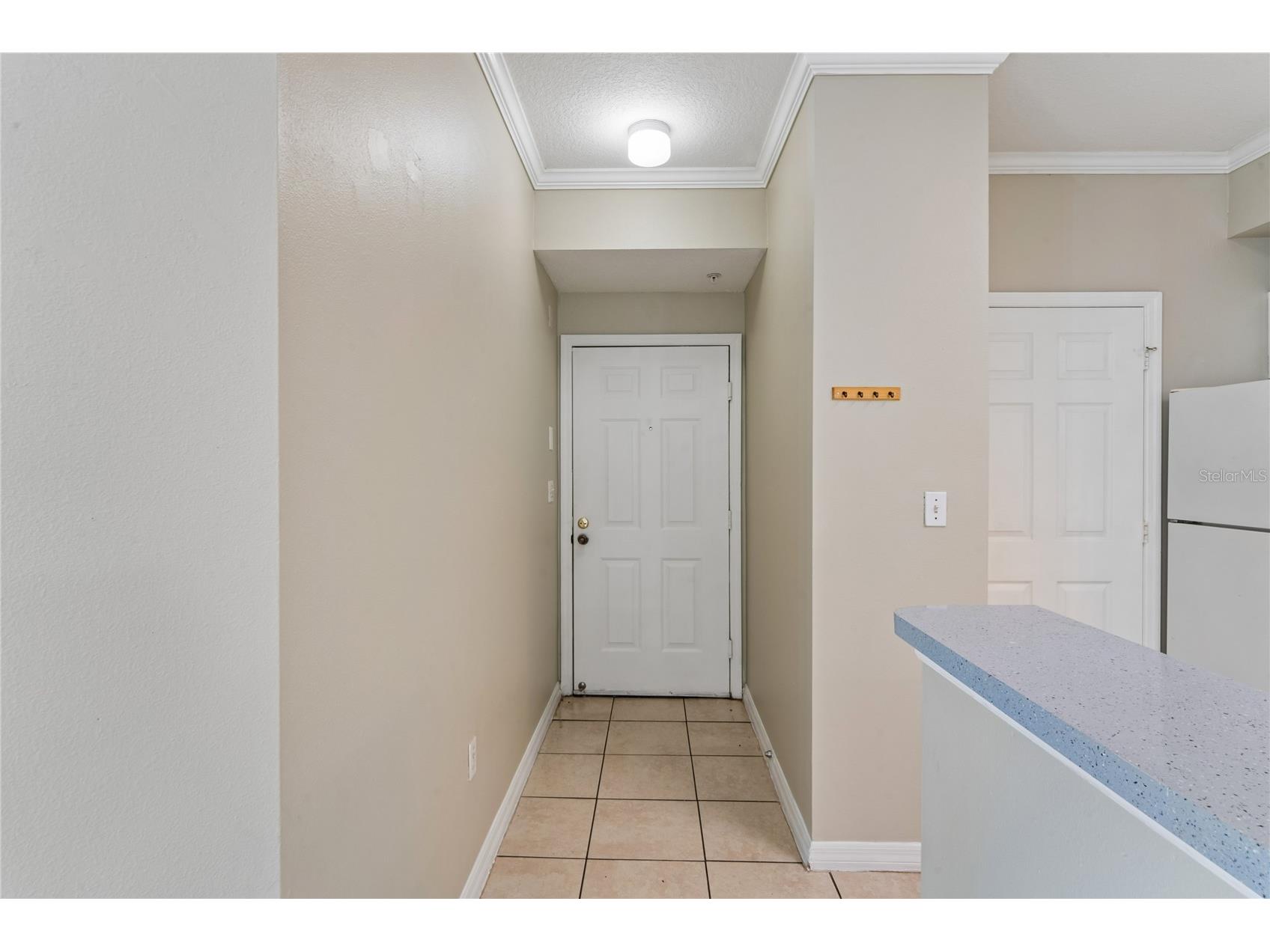 5618 Pinnacle Heights Circle #309 Tampa FL 33624 TB8512645 image5