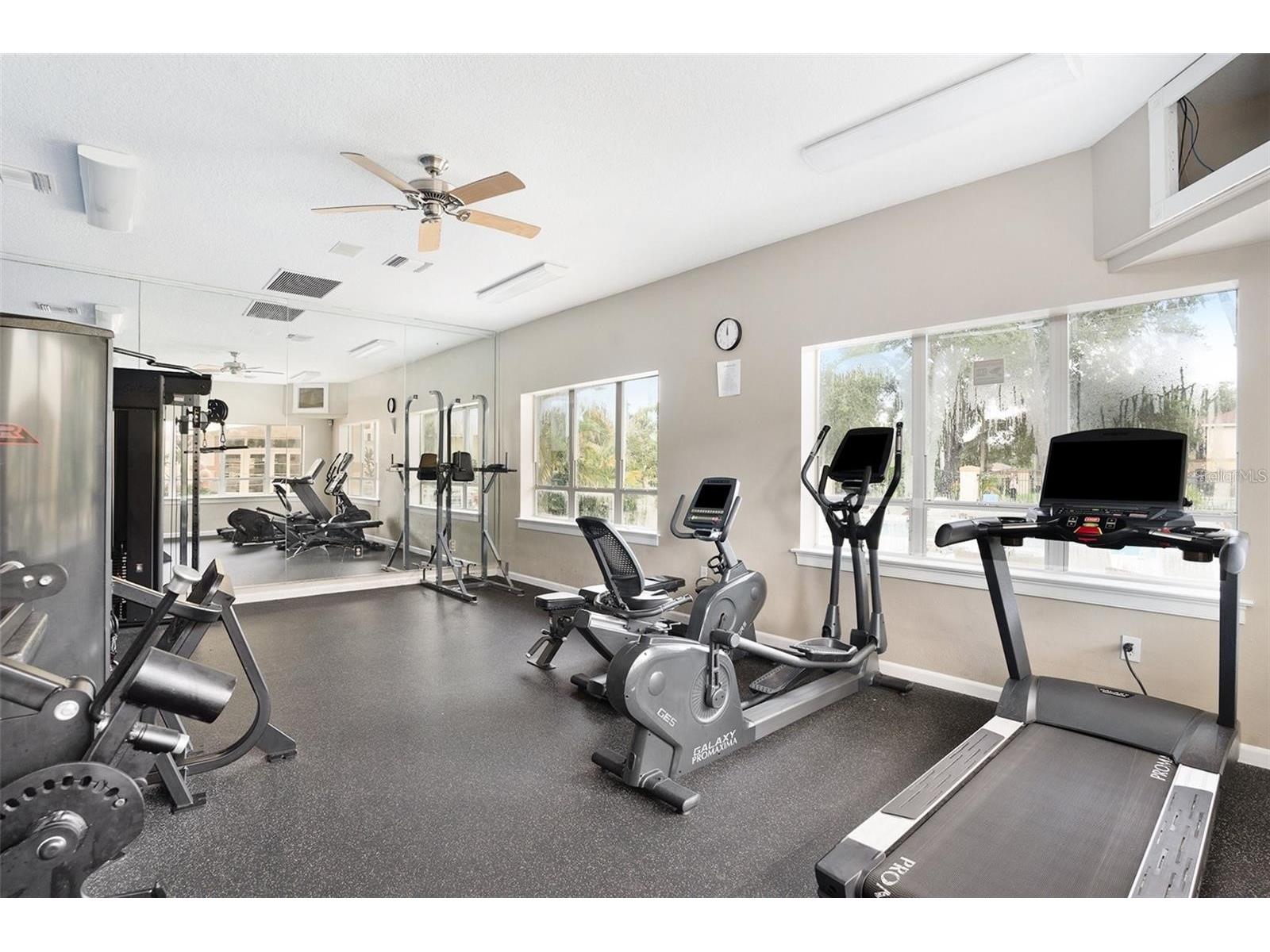 5618 Pinnacle Heights Circle #312 Tampa FL 33624 TB8501565 image6