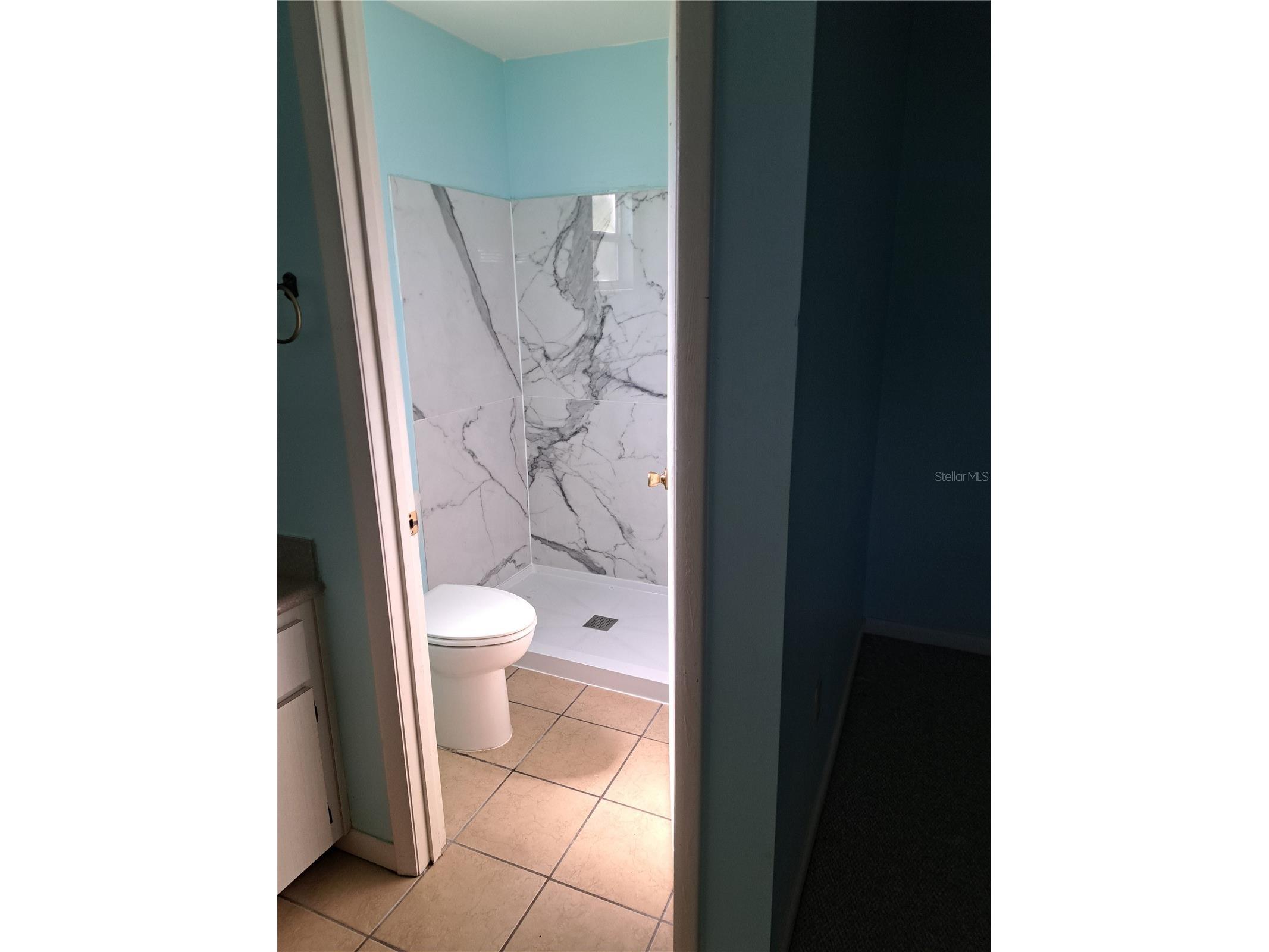 5618 Rosewall Circle Leesburg FL 34748 G5110464 image13