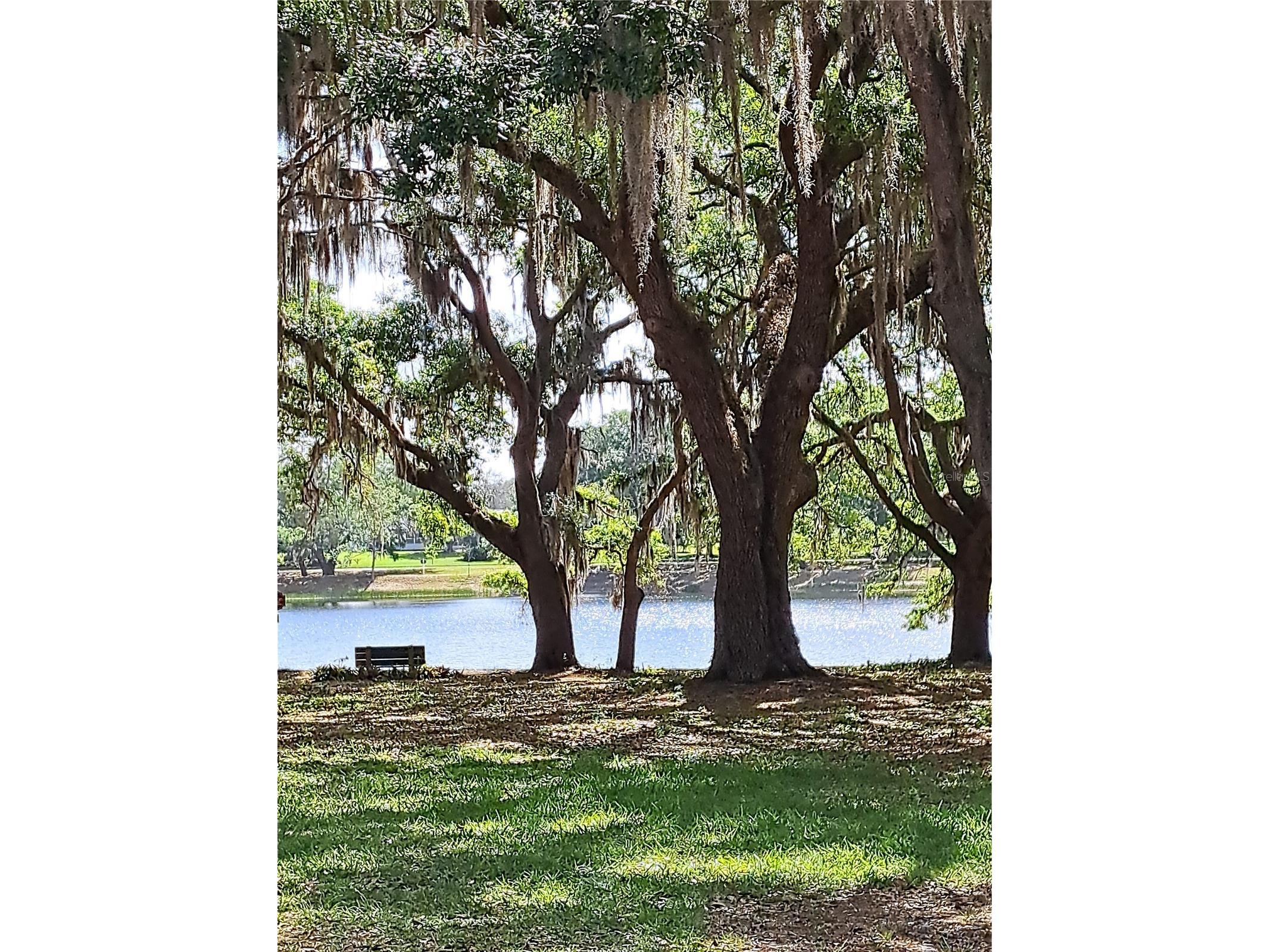 5618 Rosewall Circle Leesburg FL 34748 G5110464 image26