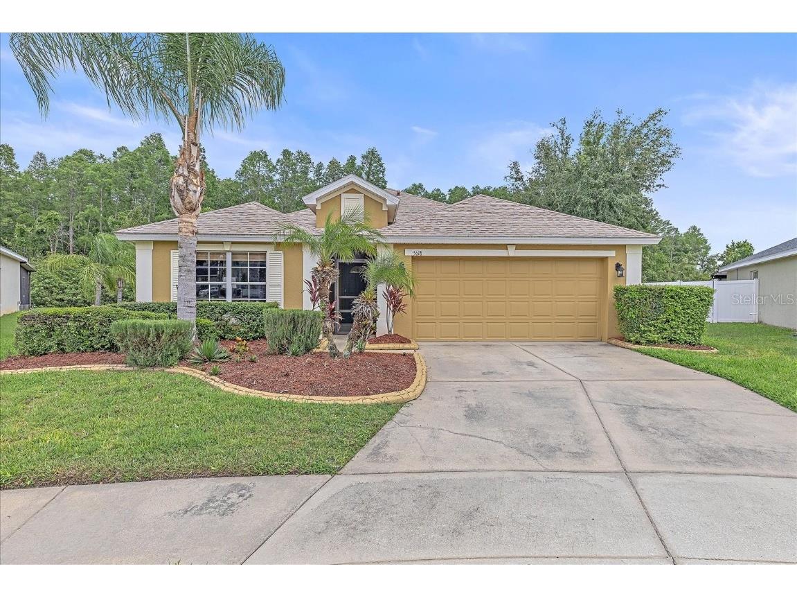 5618 Sheer Bliss Loop Land O Lakes FL 34639 A4653651 image1