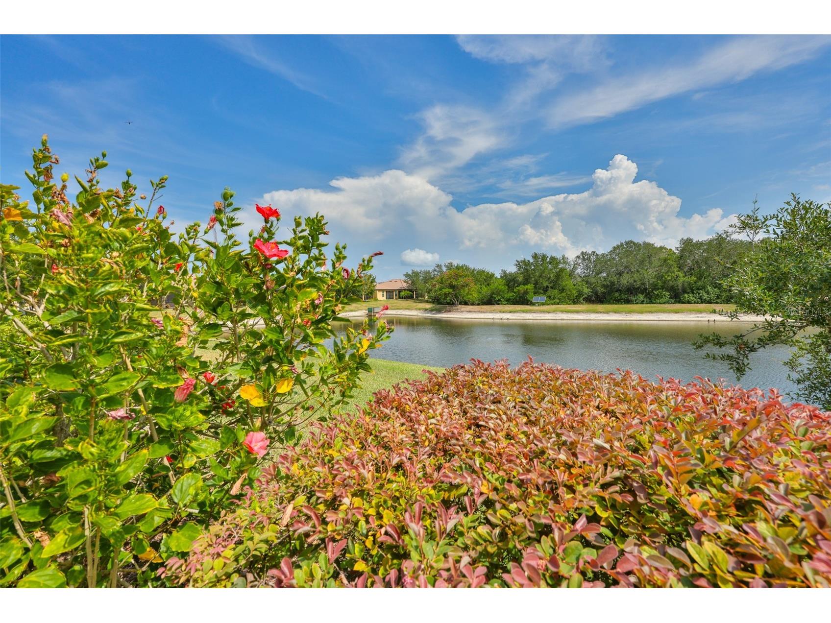 5618 Sunset Falls Drive Apollo Beach FL 33572 TB8525443 image28