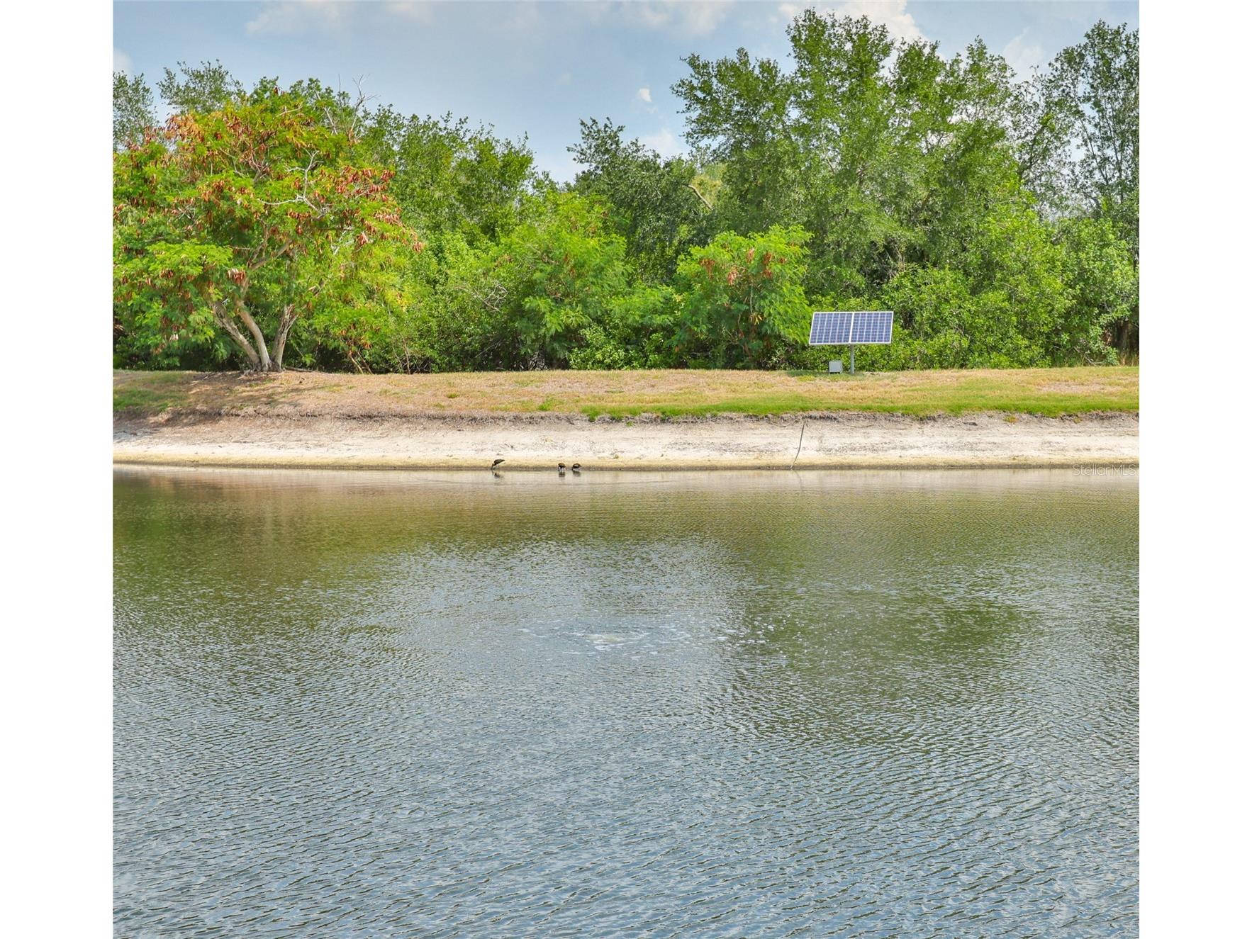 5618 Sunset Falls Drive Apollo Beach FL 33572 TB8525443 image53