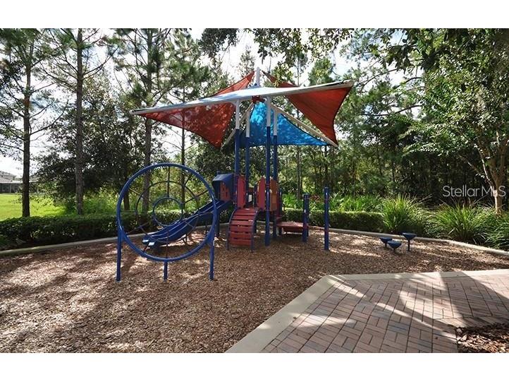5618 Water Rose Road Winter Garden FL 34787 O6400788 image25