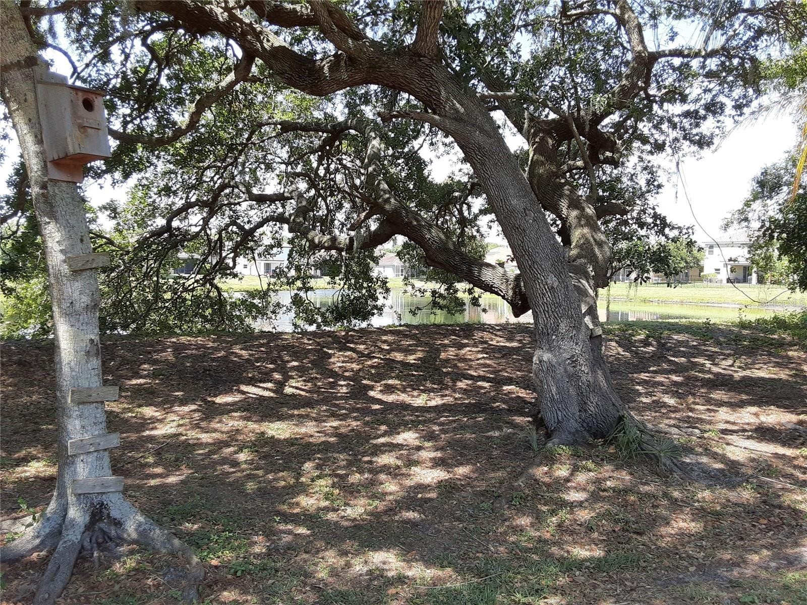 5619 Colonial Oaks Boulevard Sarasota FL 34232 A4684948 image30