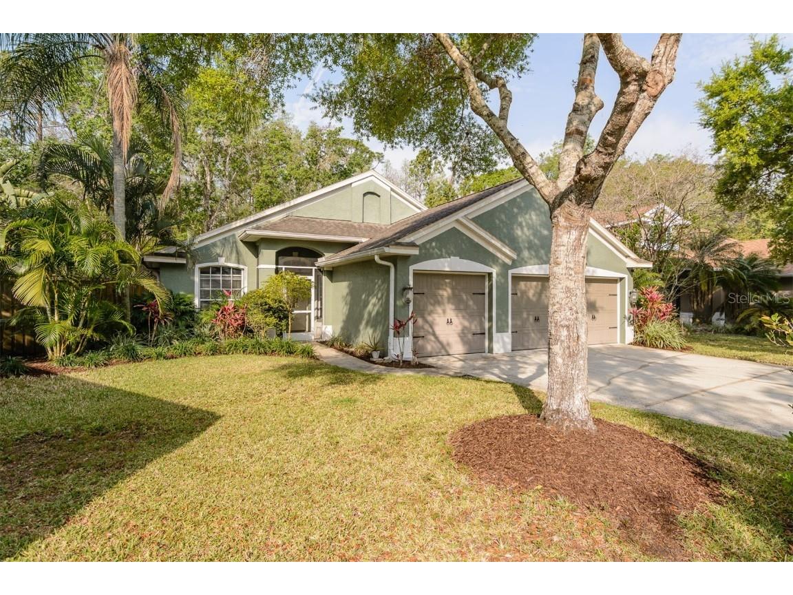5619 Essex Court Palm Harbor FL 34685 TB8390591 image1