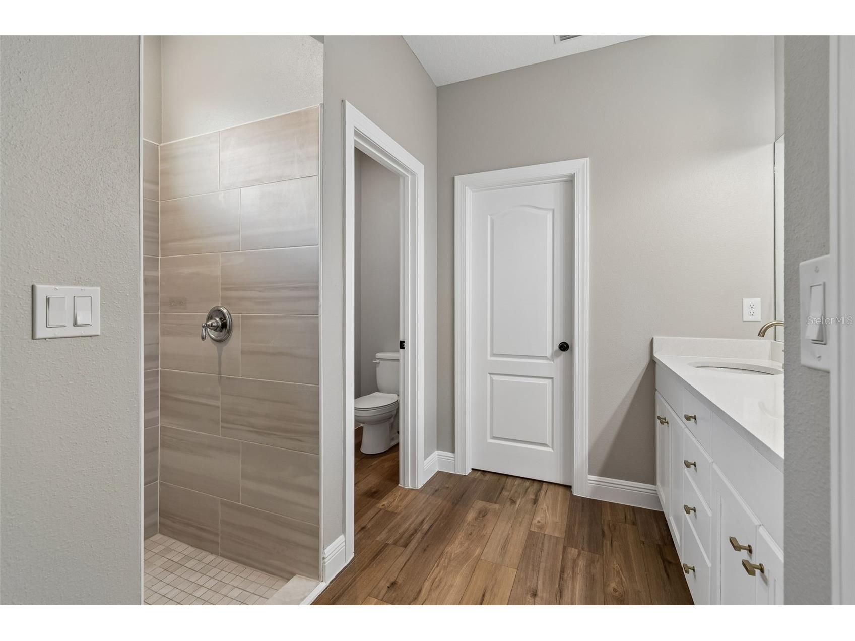 5619 Silver Sun Drive Apollo Beach FL 33572 TB8507011 image40