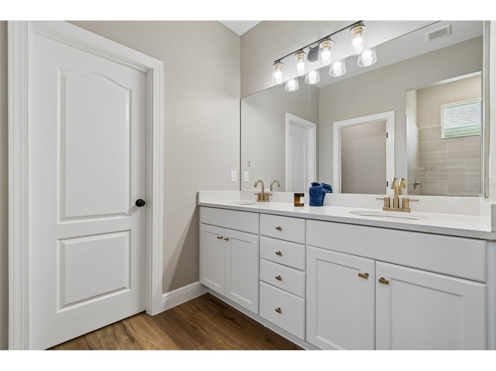 5619 Silver Sun Drive Apollo Beach FL 33572 TB8507011 image41