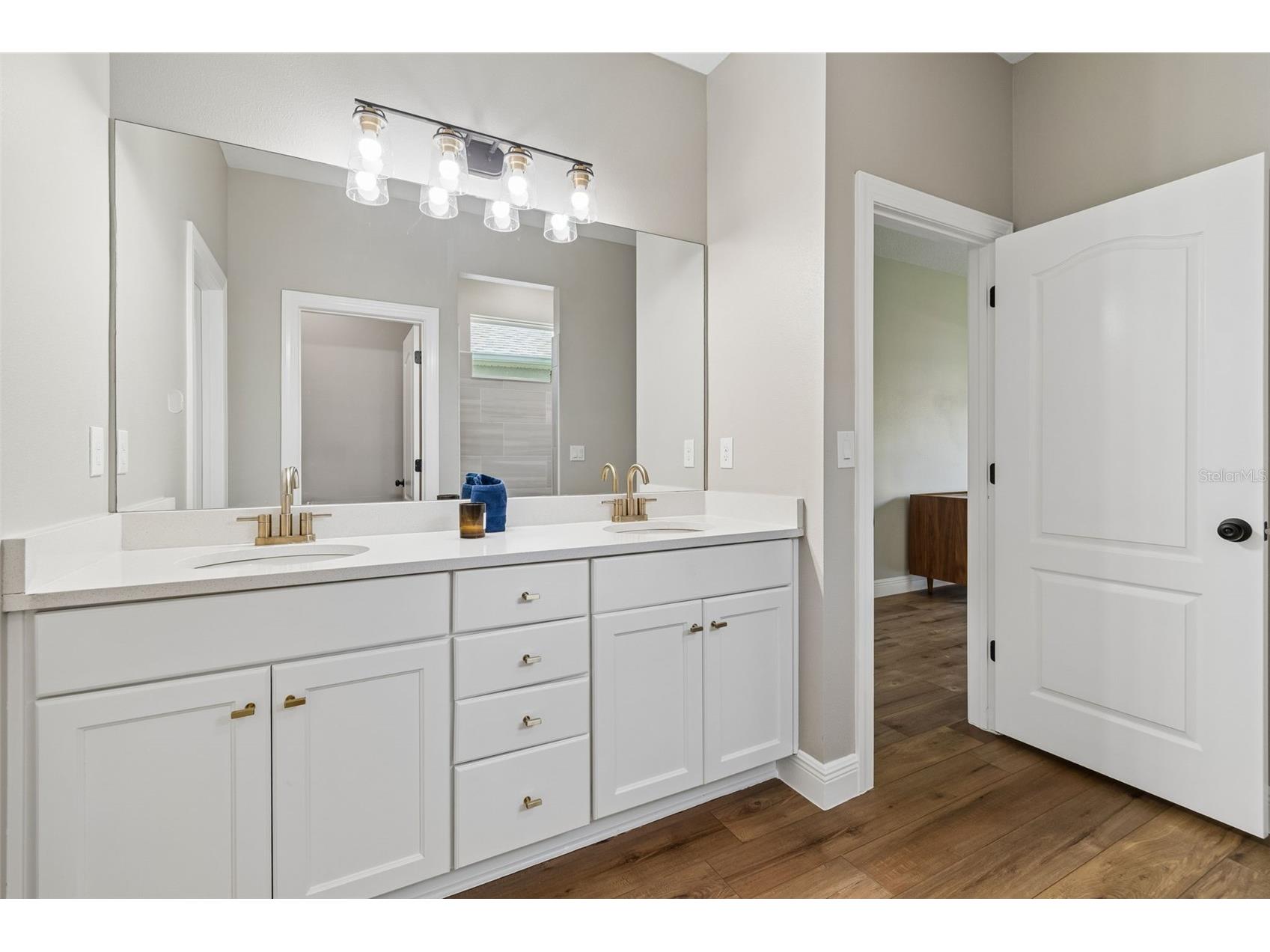 5619 Silver Sun Drive Apollo Beach FL 33572 TB8507011 image42
